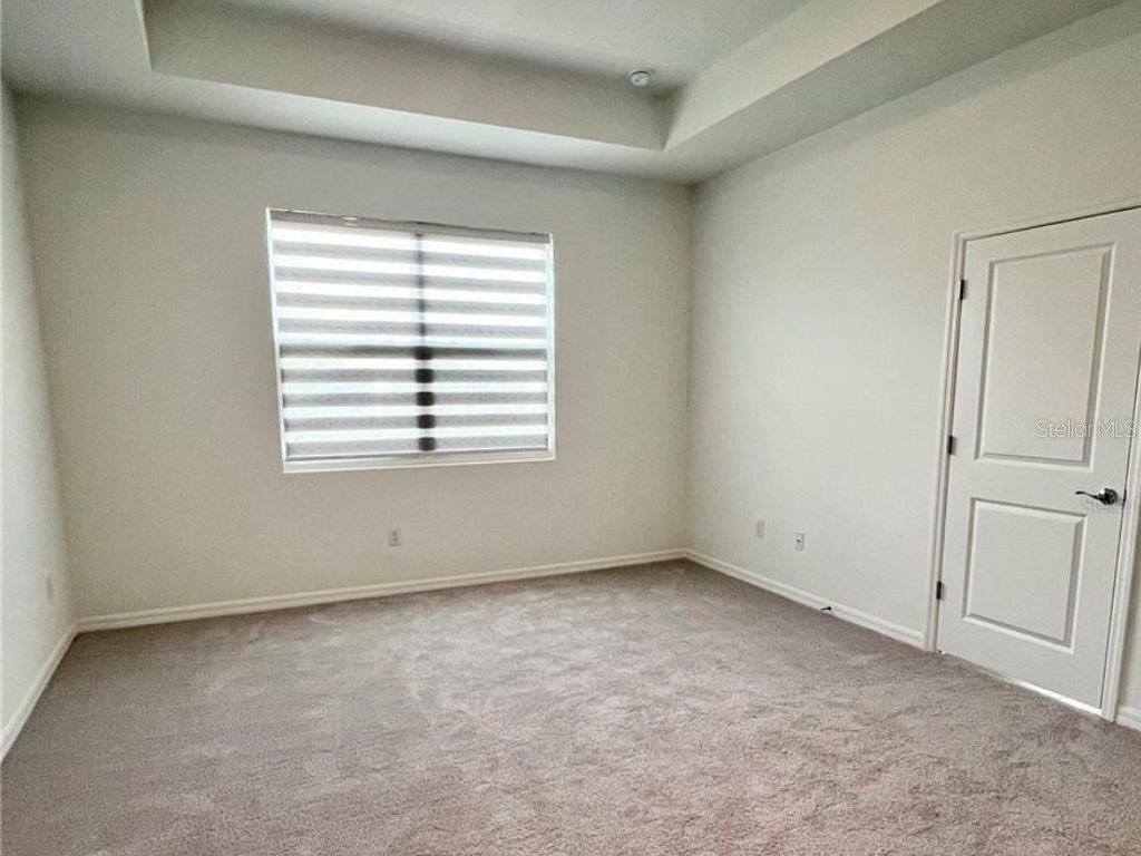 2373 Bending Bonsai Drive Wesley Chapel FL 33543 TB8435979 image12