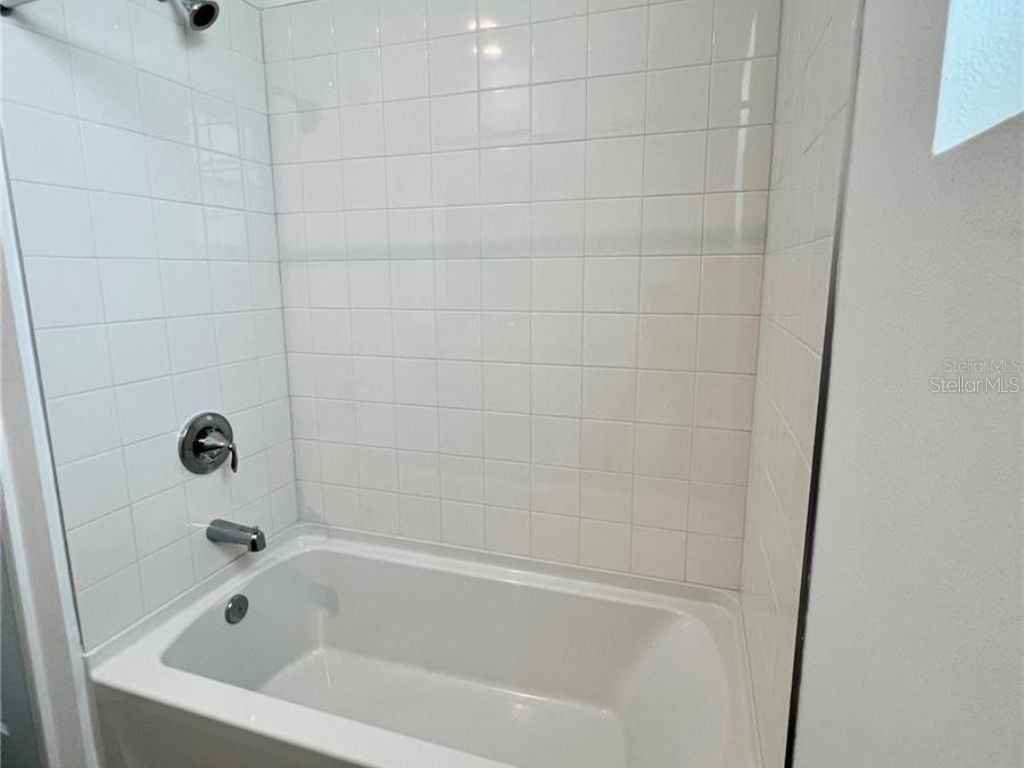 2373 Bending Bonsai Drive Wesley Chapel FL 33543 TB8435979 image18