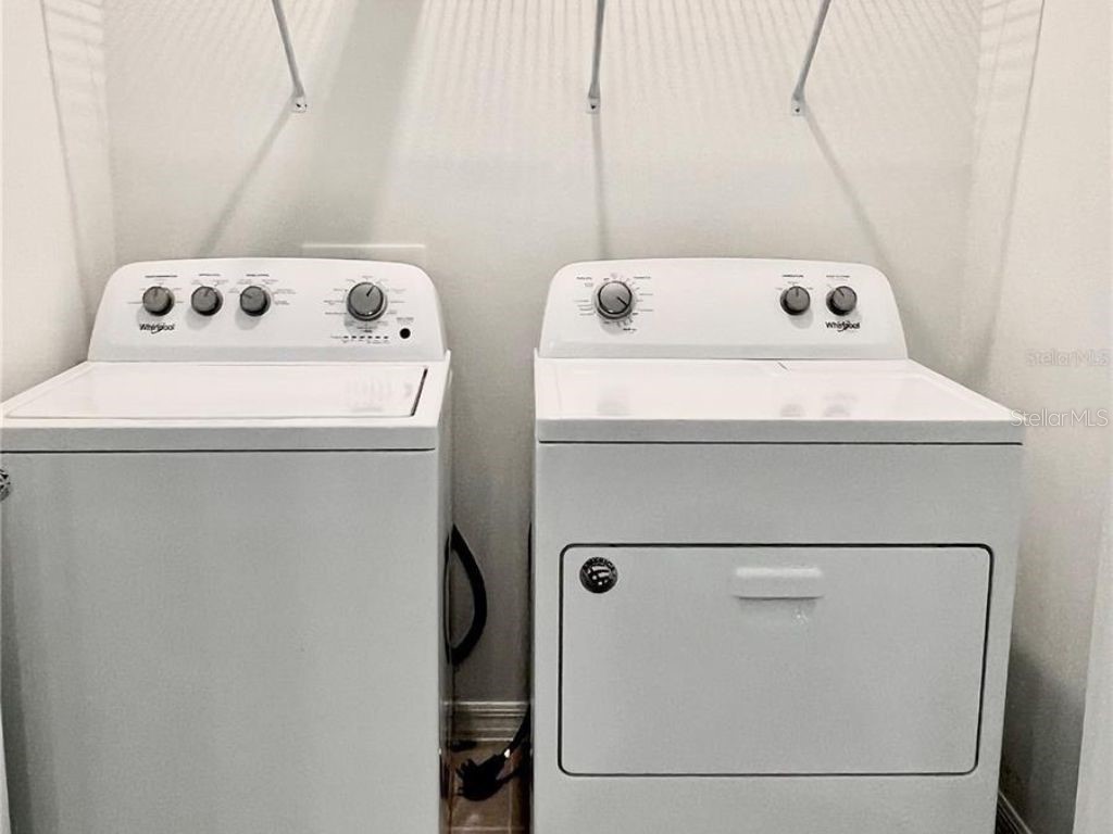 2373 Bending Bonsai Drive Wesley Chapel FL 33543 TB8435979 image19