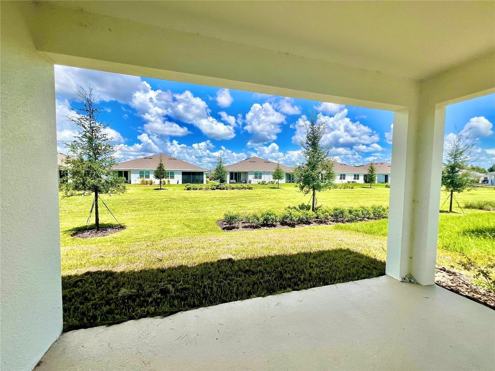 2373 Bending Bonsai Drive Wesley Chapel FL 33543 TB8435979 image46