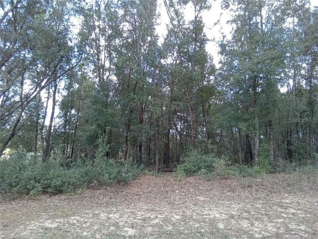 2373 W Green Court Citrus Springs FL 34434 OM677584 image1