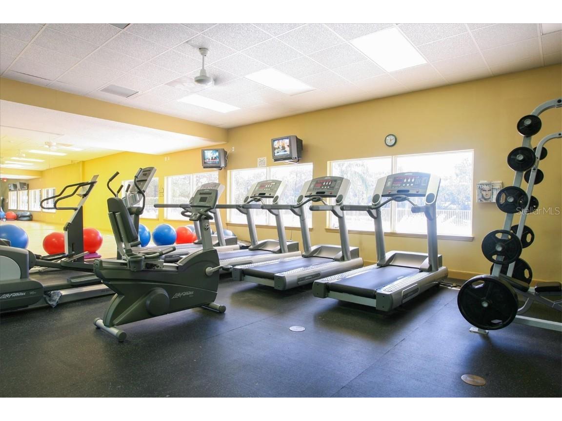 2374 Little Country Road Parrish FL 34219 A4671553 image53