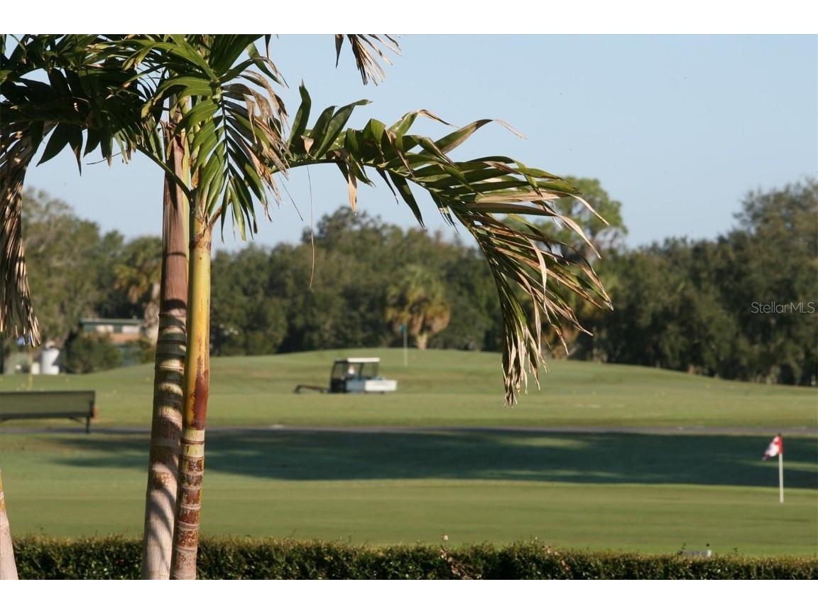 2374 Little Country Road Parrish FL 34219 A4671553 image60