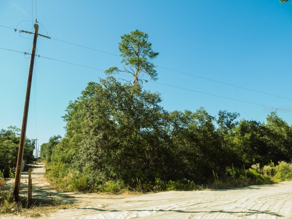 23745 NE 118th Court Fort Mc Coy FL 32134 O6063924 image1