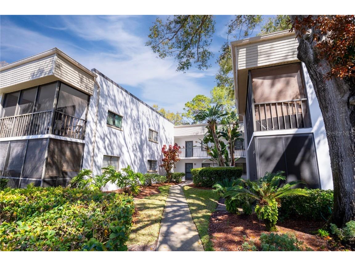 2375 Fox Chase Boulevard #257 Palm Harbor FL 34683 U8229636 image1