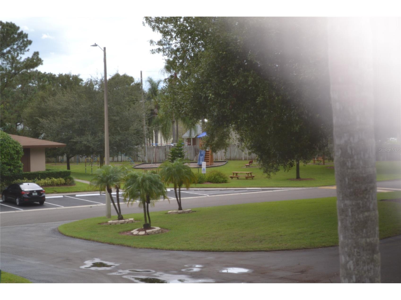 2375 Fox Chase Boulevard #260 Palm Harbor FL 34683 W7878017 image17