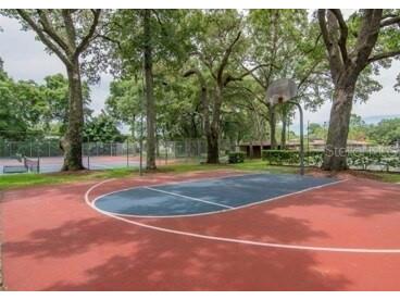 2375 Fox Chase Boulevard #260 Palm Harbor FL 34683 W7878017 image19