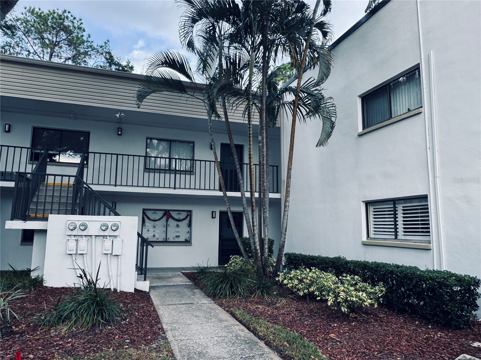 2375 Fox Chase Boulevard #260 Palm Harbor FL 34683 W7878017 image2