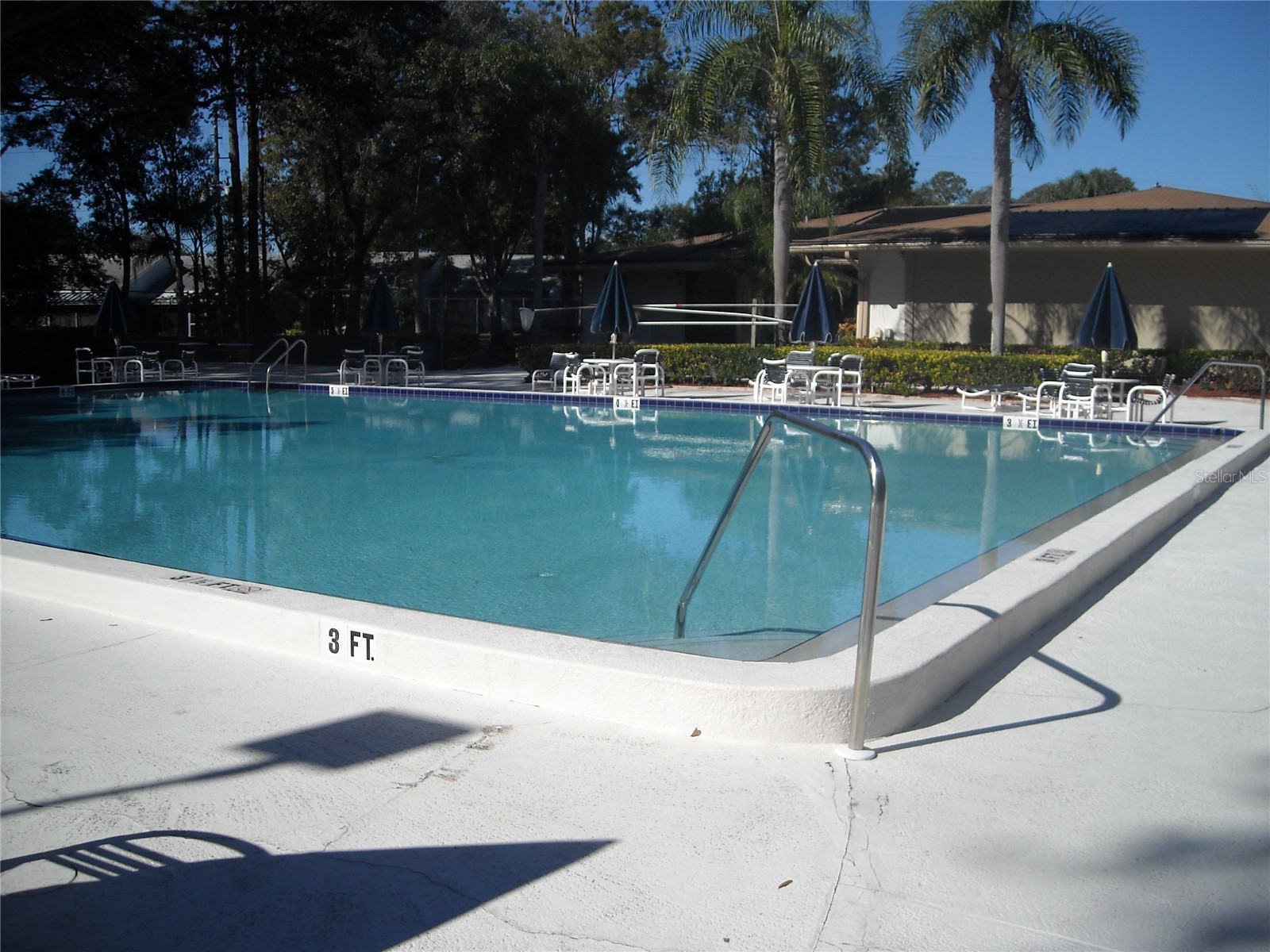 2375 Fox Chase Boulevard #260 Palm Harbor FL 34683 W7878017 image23