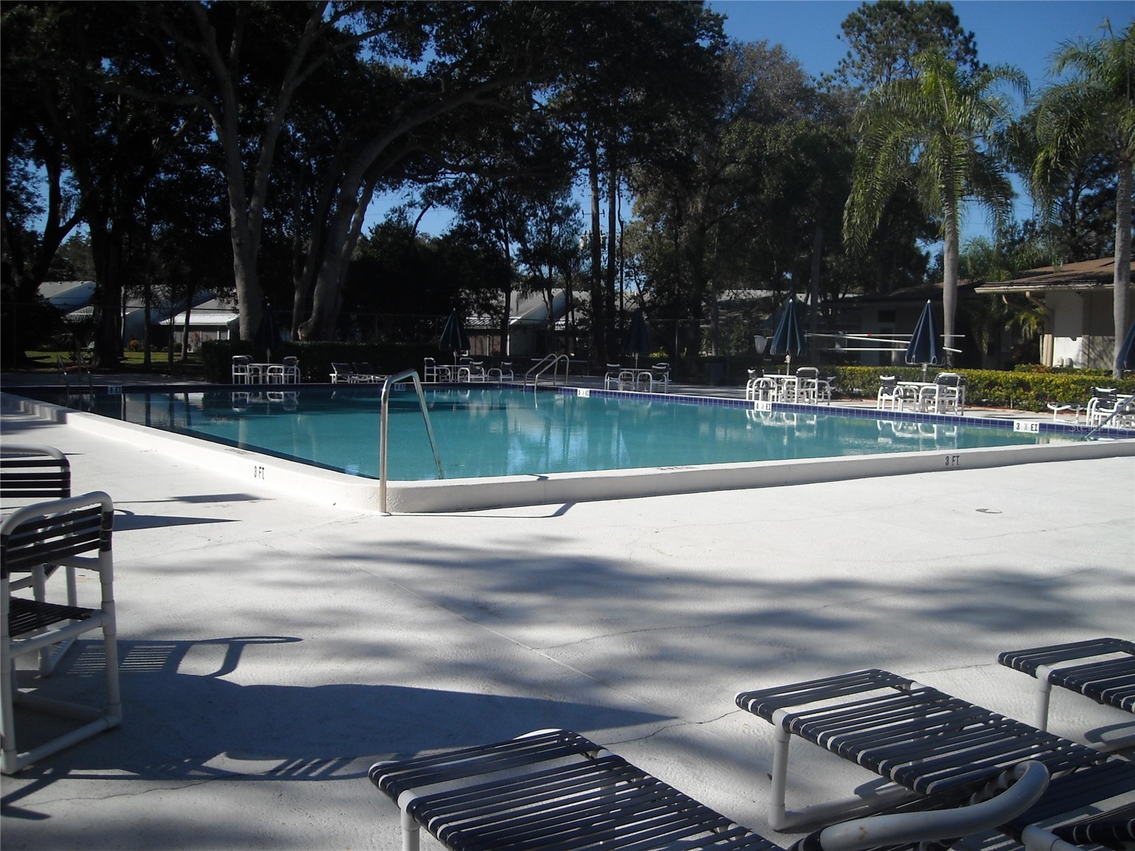 2375 Fox Chase Boulevard #260 Palm Harbor FL 34683 W7878017 image24