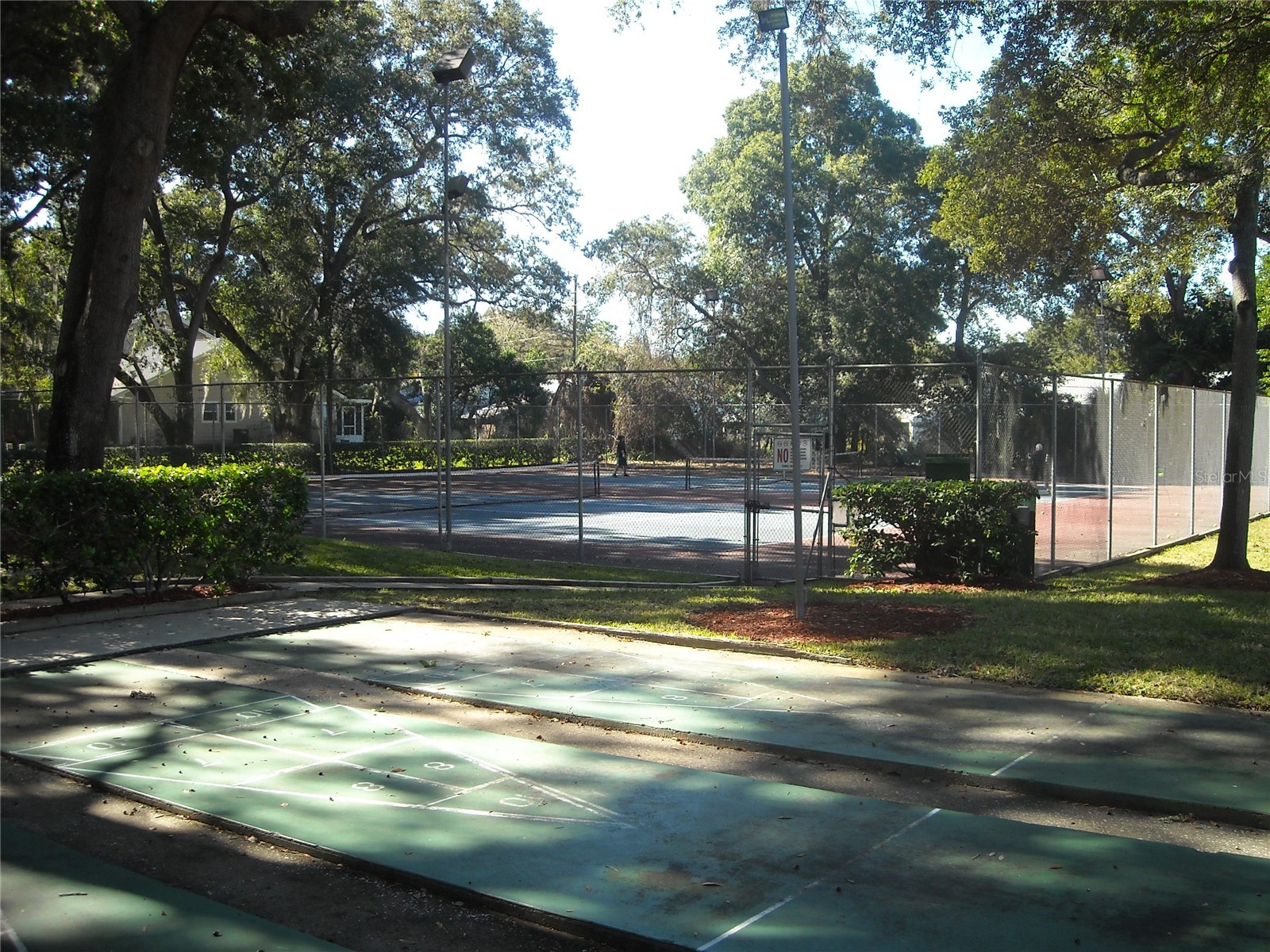 2375 Fox Chase Boulevard #260 Palm Harbor FL 34683 W7878017 image28