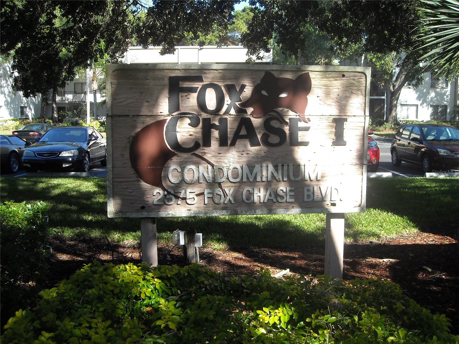 2375 Fox Chase Boulevard #260 Palm Harbor FL 34683 W7878017 image29