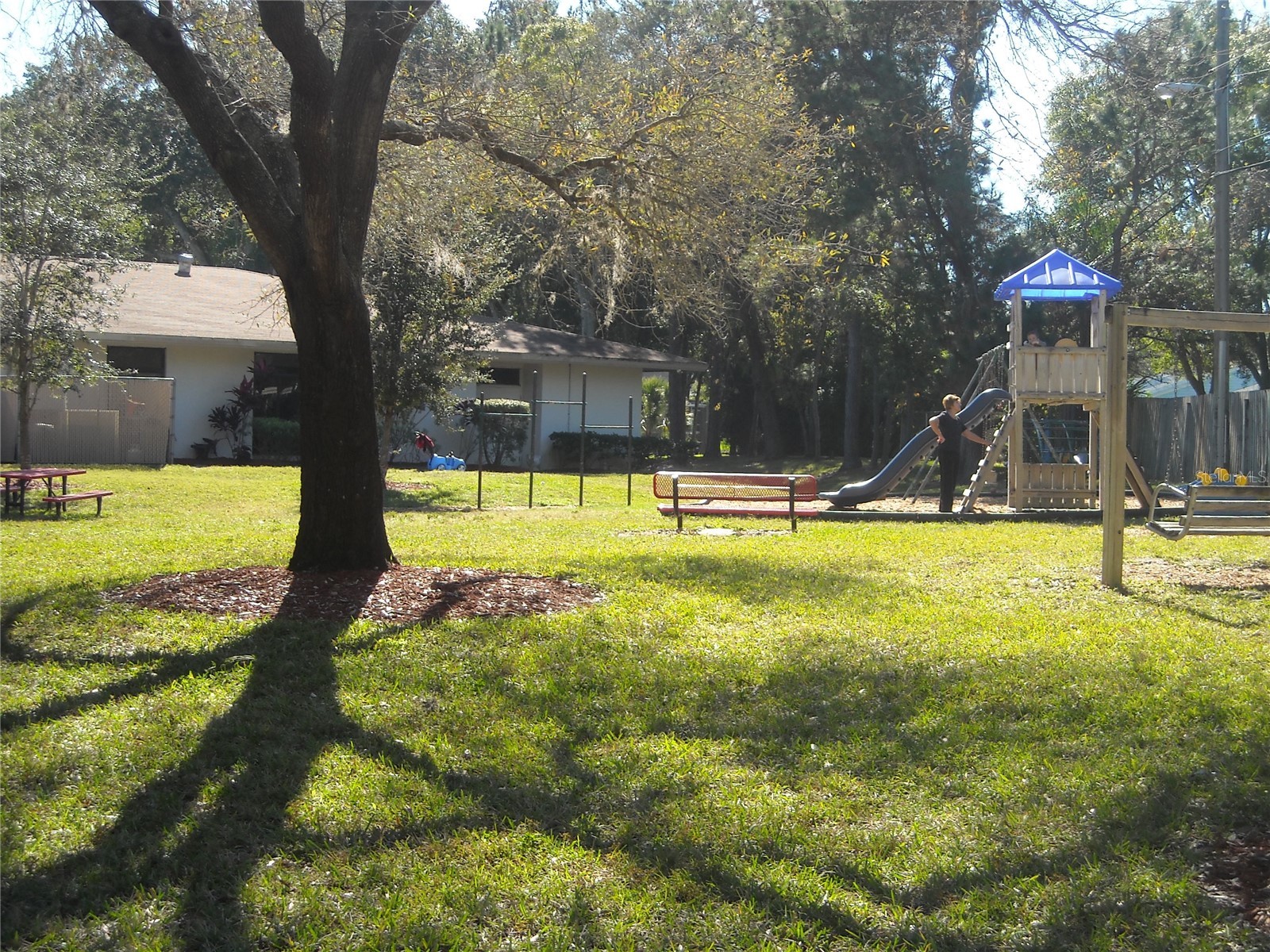 2375 Fox Chase Boulevard #260 Palm Harbor FL 34683 W7878017 image30