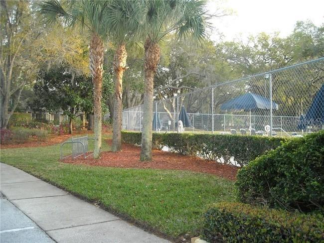 2375 Fox Chase Boulevard #260 Palm Harbor FL 34683 W7878017 image32