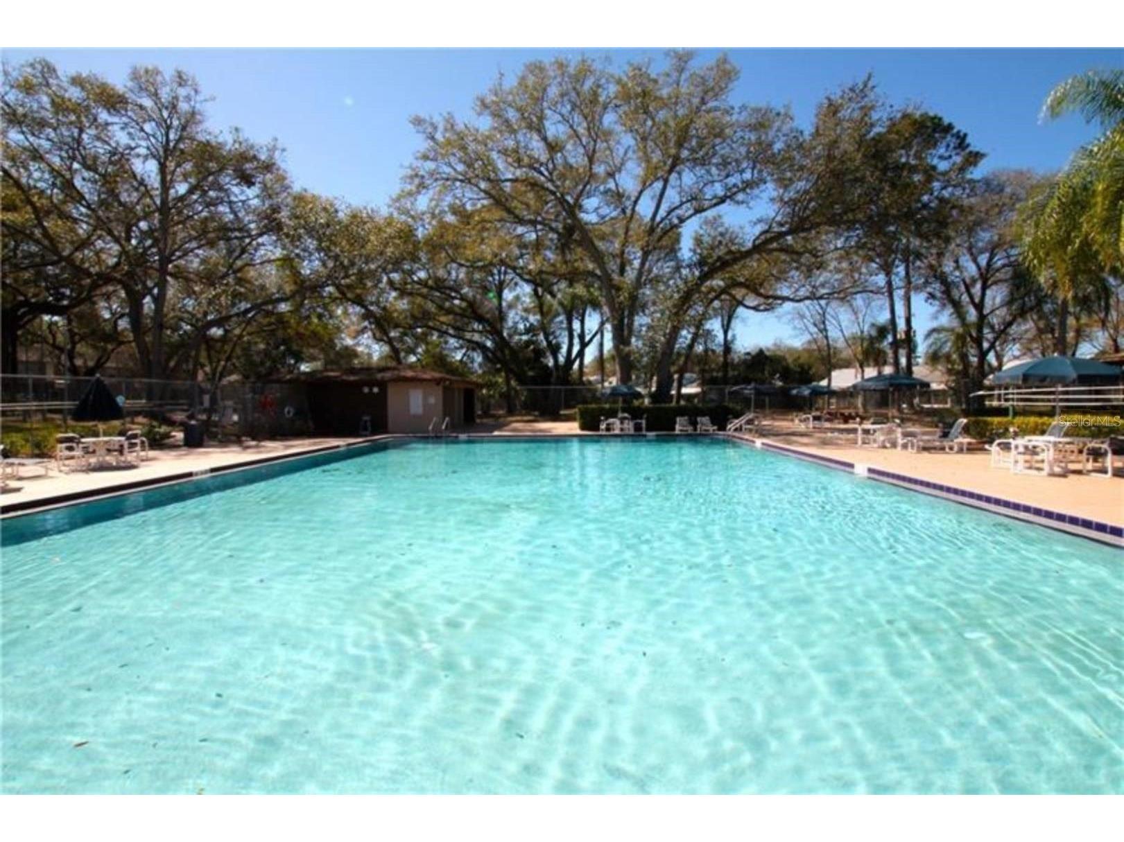 2375 Fox Chase Boulevard #260 Palm Harbor FL 34683 W7878017 image37