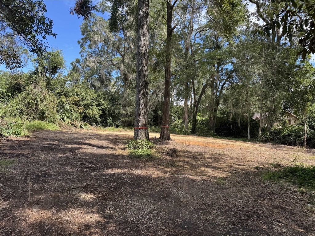 2375 SE 39th Street Ocala FL 34480 OM710494 image4