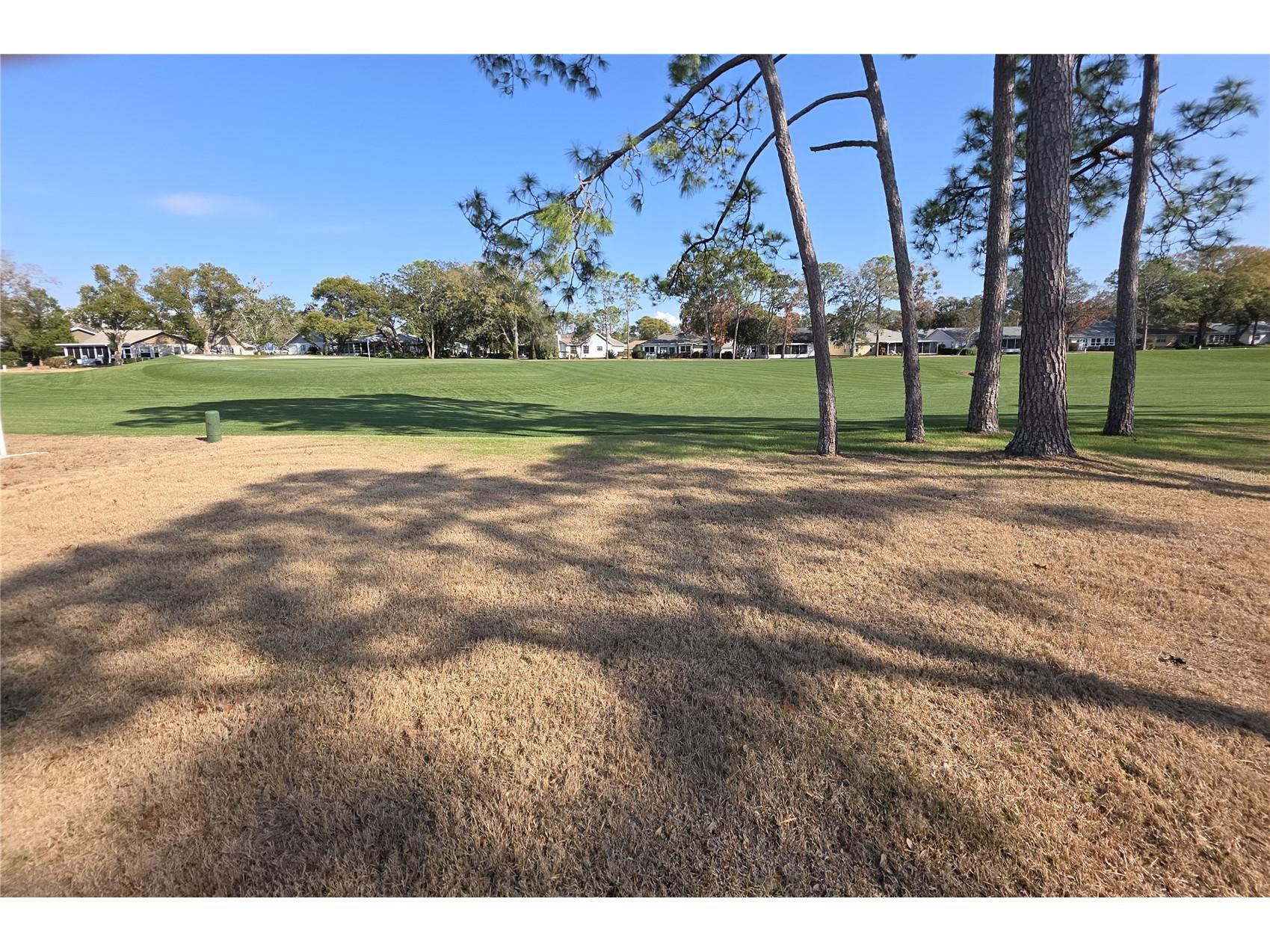 2376 Bent Pine Court Spring Hill FL 34606 W7883024 image30