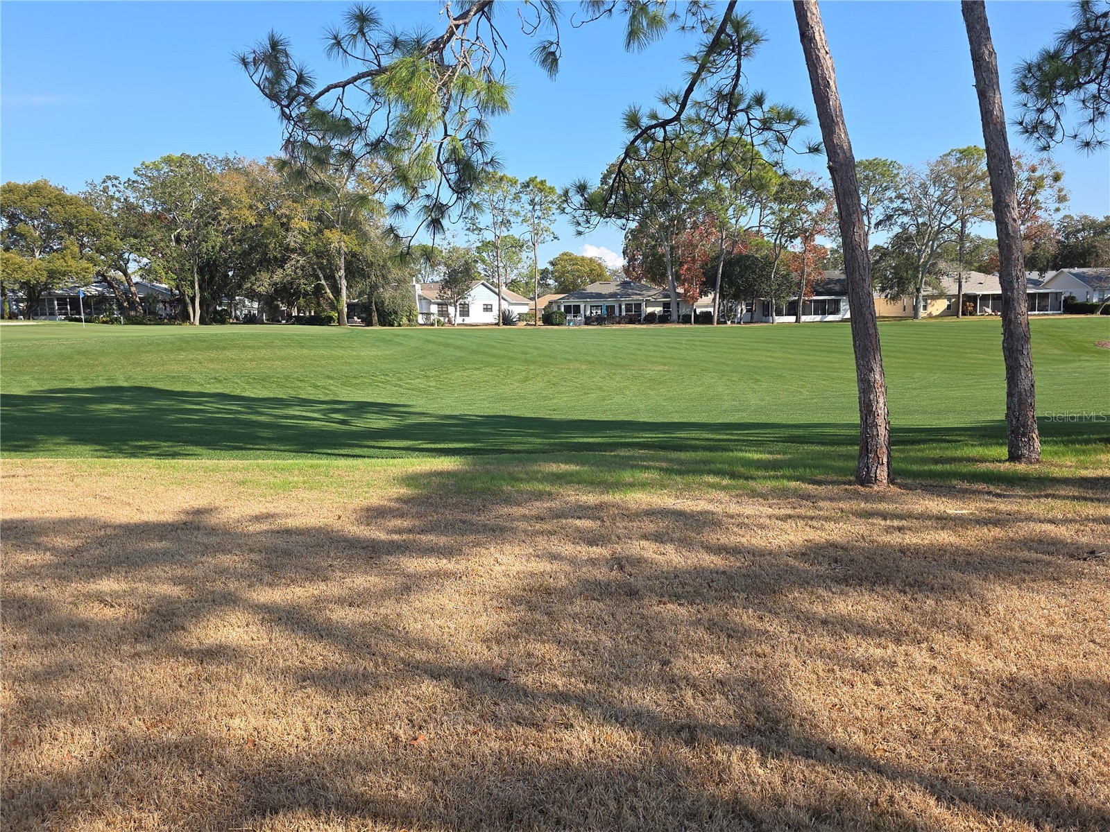 2376 Bent Pine Court Spring Hill FL 34606 W7883024 image31