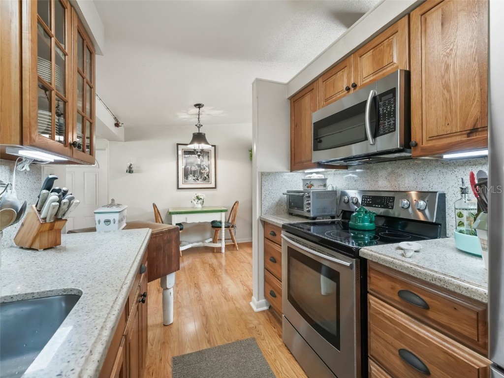 2376 Cr 444 Lake Panasoffkee FL 33538 G5104453 image24