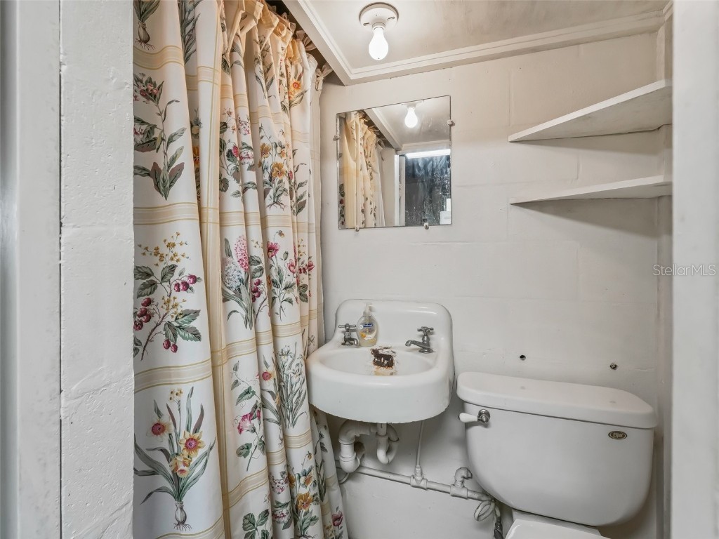 2376 Cr 444 Lake Panasoffkee FL 33538 G5104453 image44