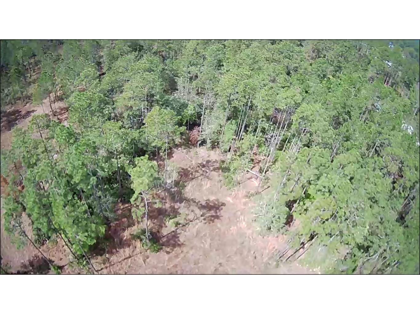 2376 Elder Street Bunnell FL 32110 OM674600 image1