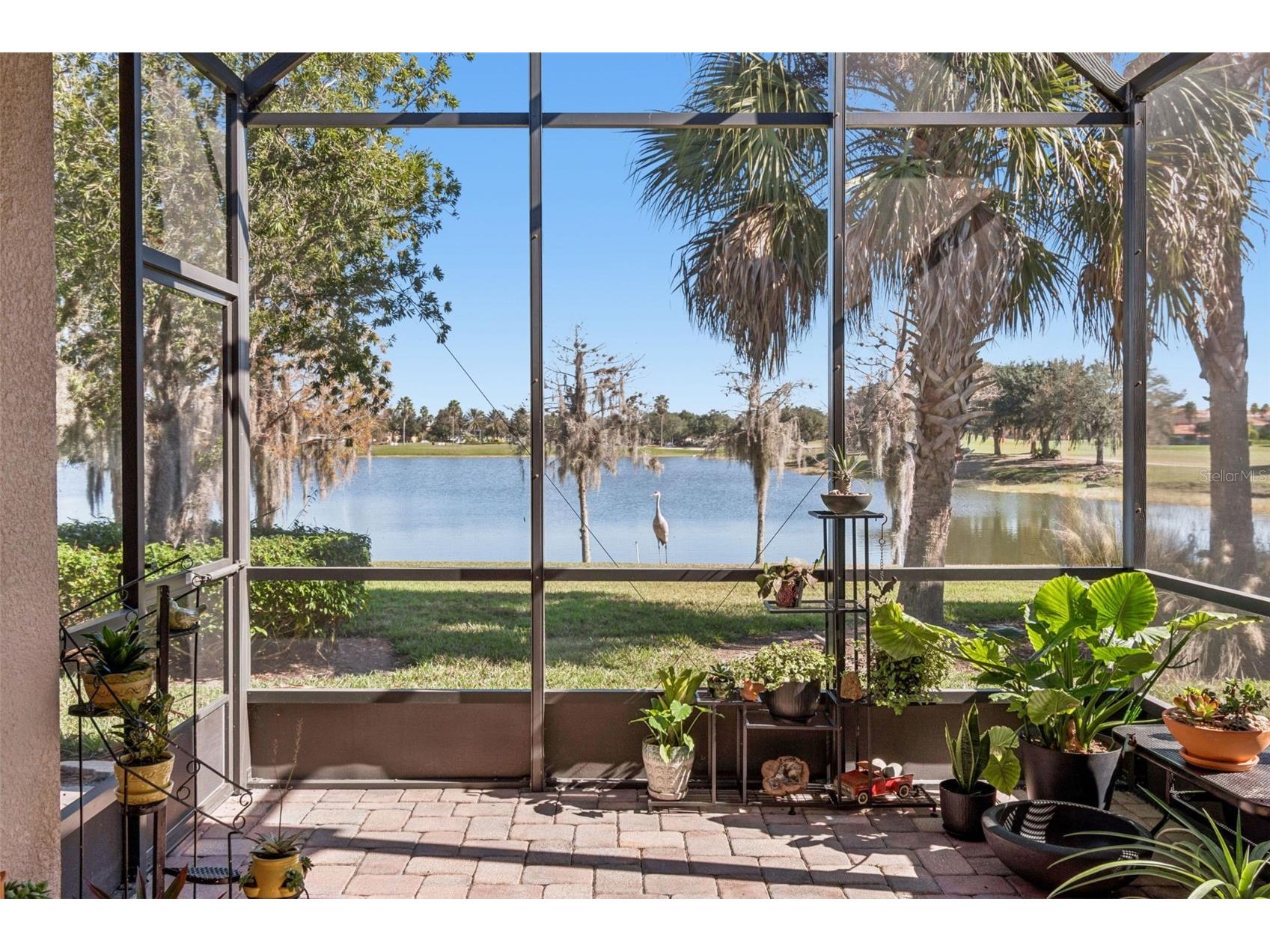 2376 Palm Tree Drive Kissimmee FL 34759 S5140777 image1