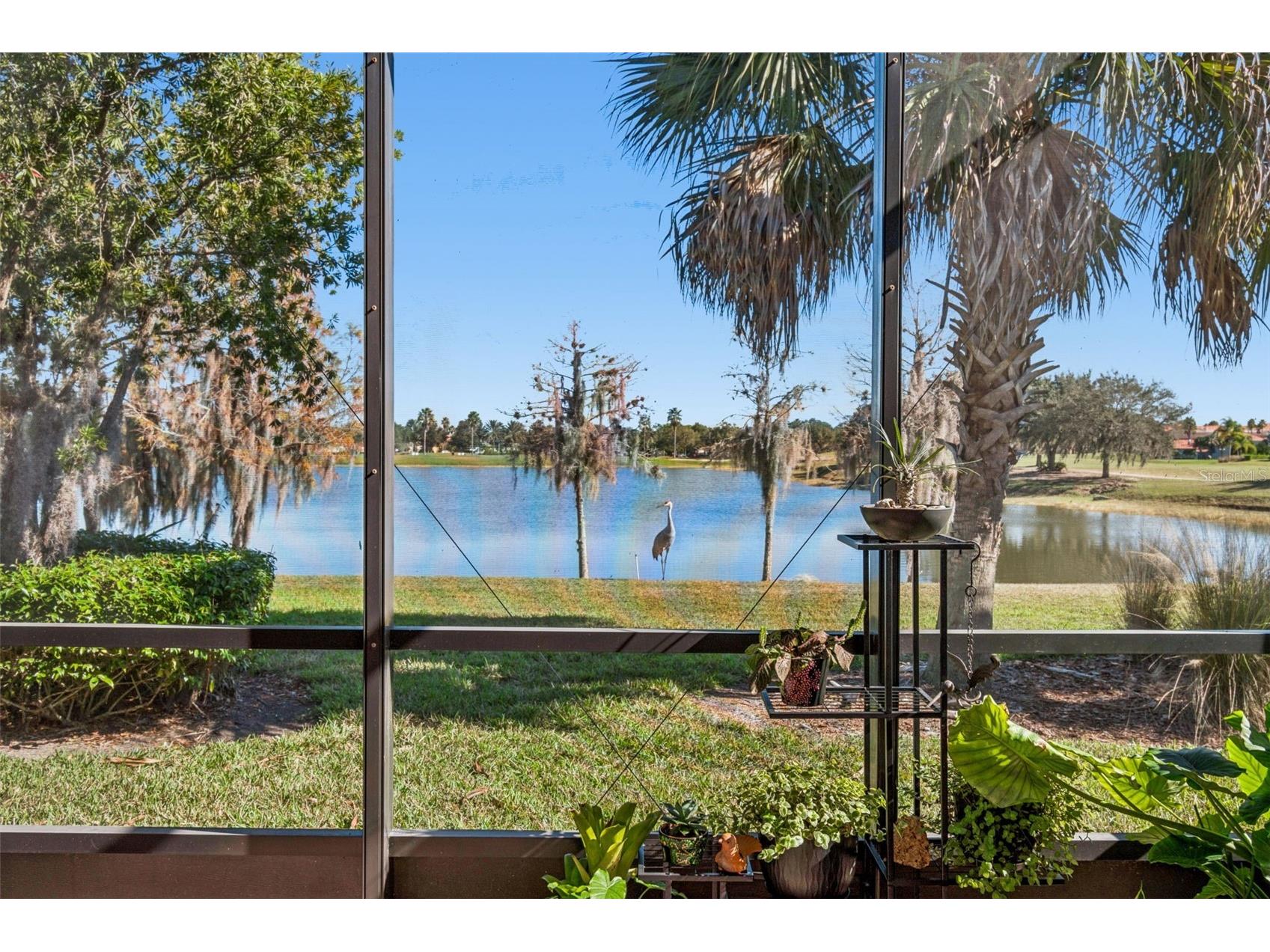 2376 Palm Tree Drive Kissimmee FL 34759 S5140777 image36
