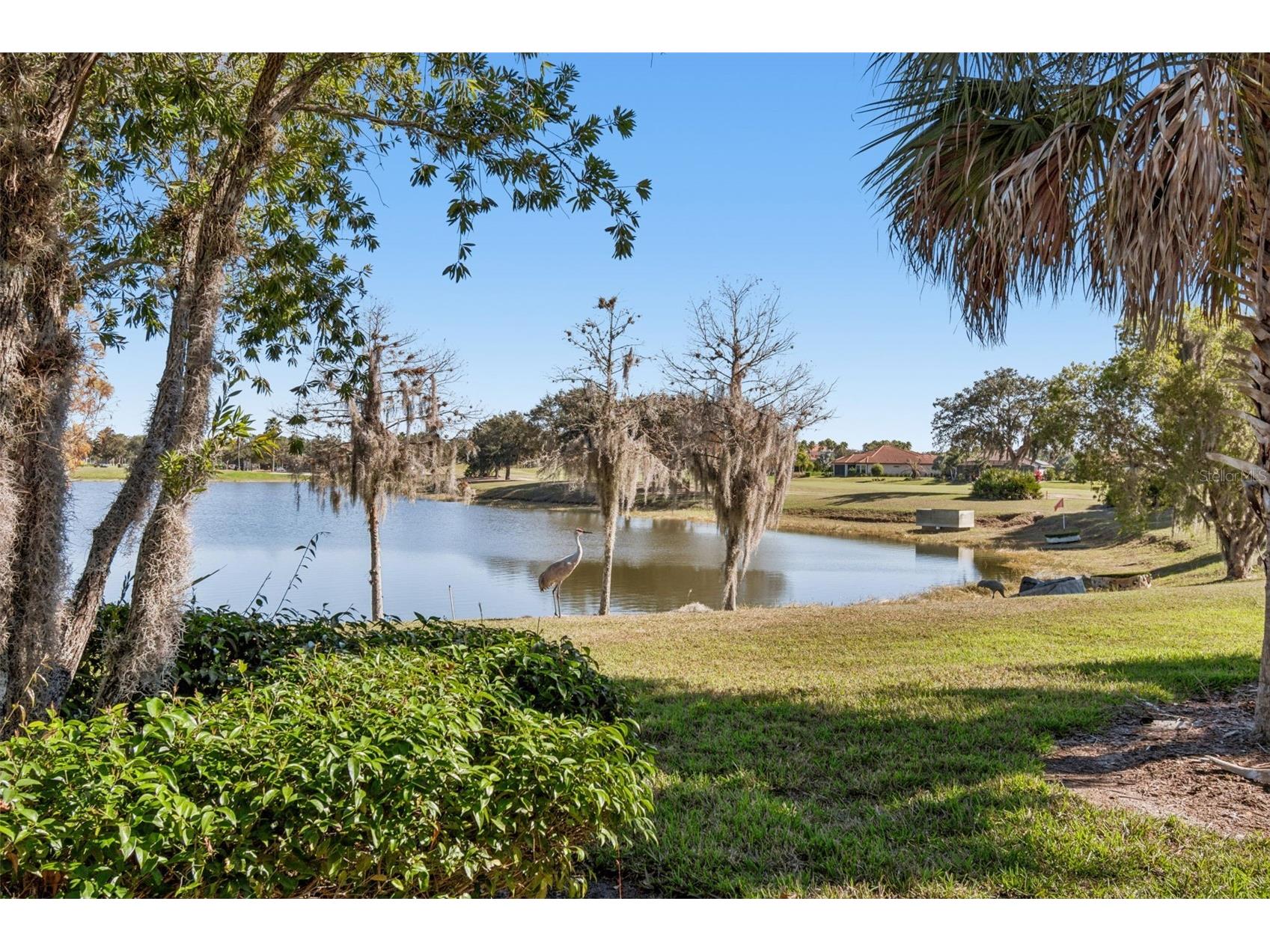 2376 Palm Tree Drive Kissimmee FL 34759 S5140777 image39