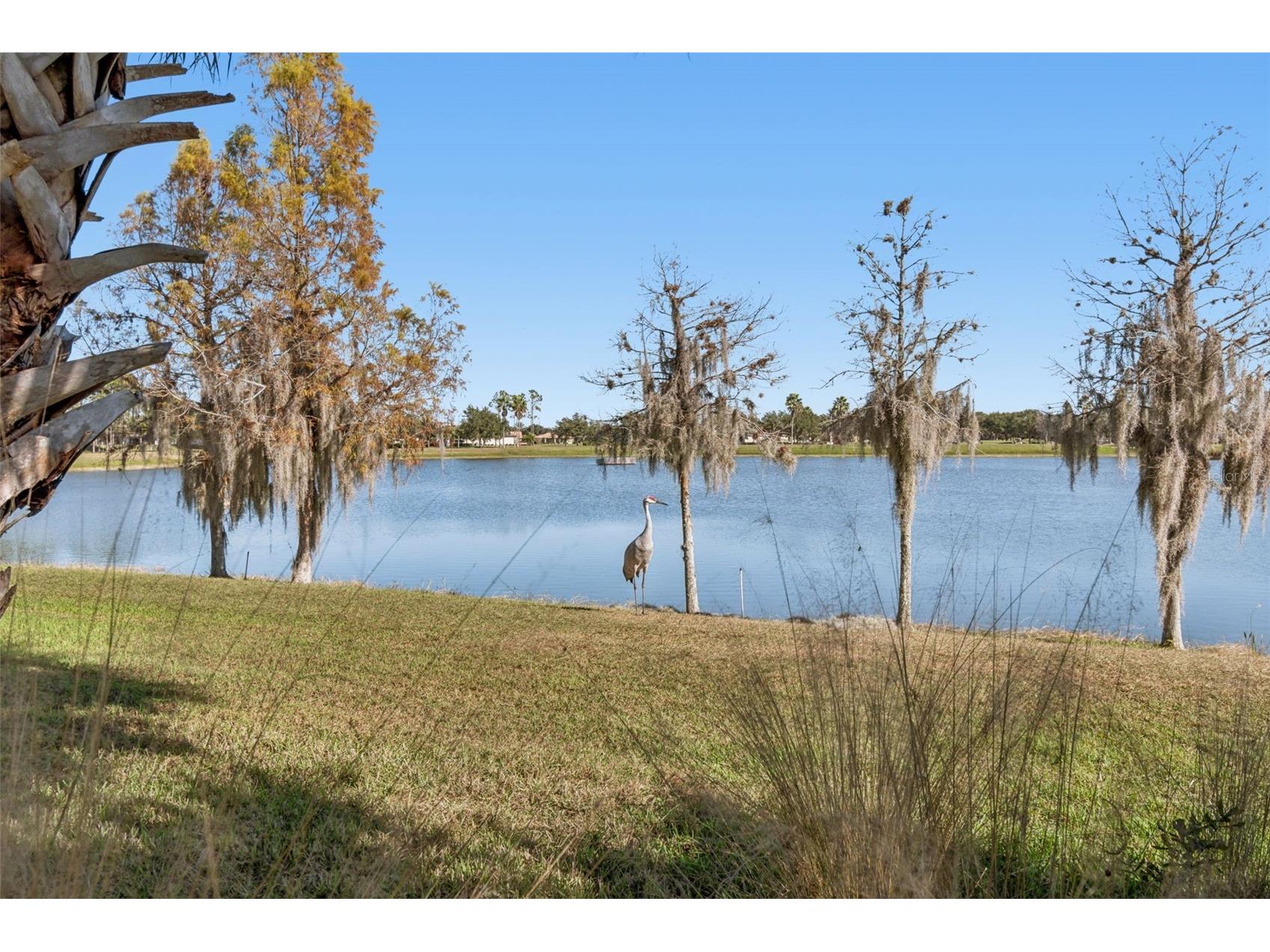 2376 Palm Tree Drive Kissimmee FL 34759 S5140777 image40