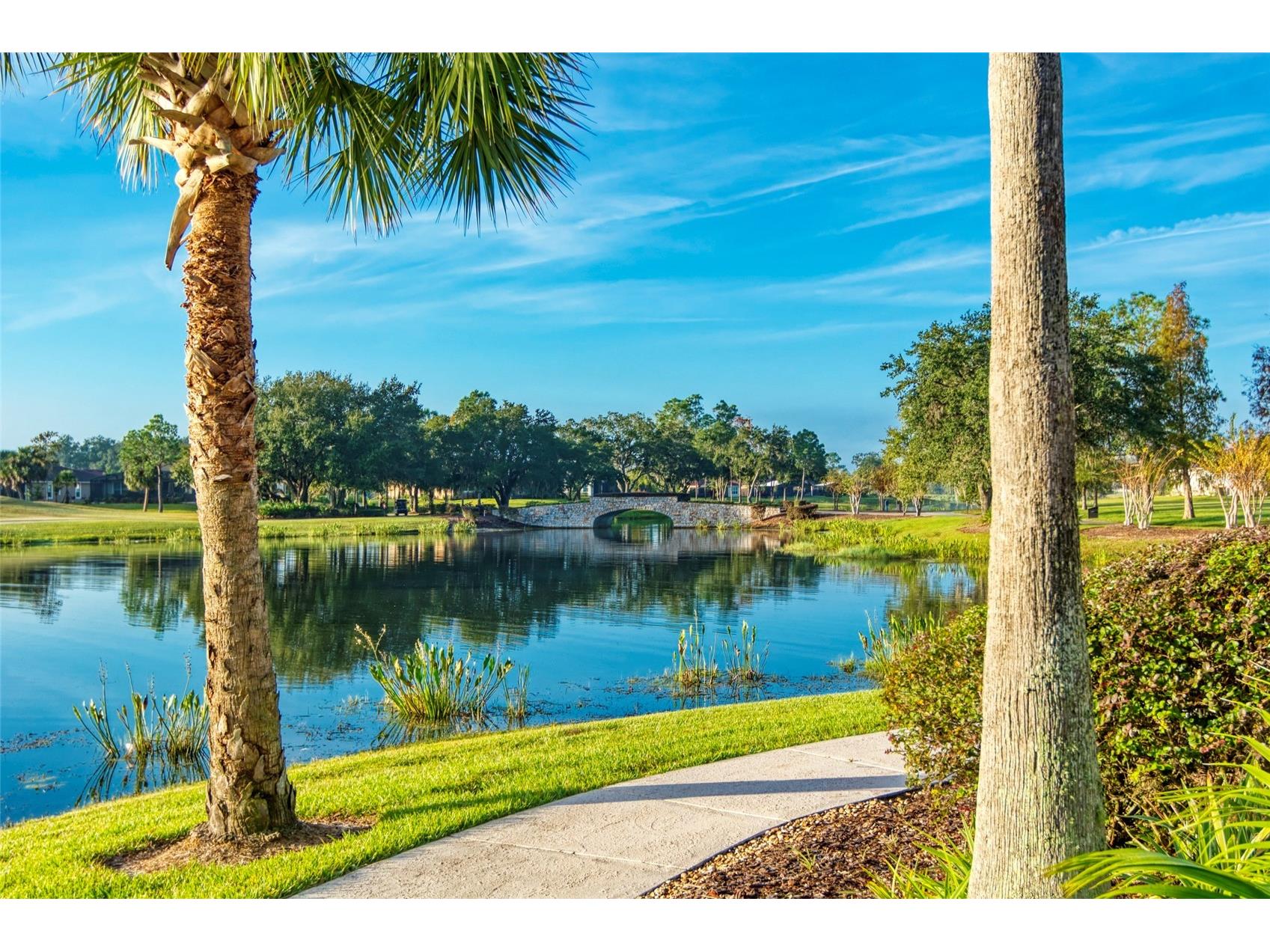 2376 Palm Tree Drive Kissimmee FL 34759 S5140777 image52