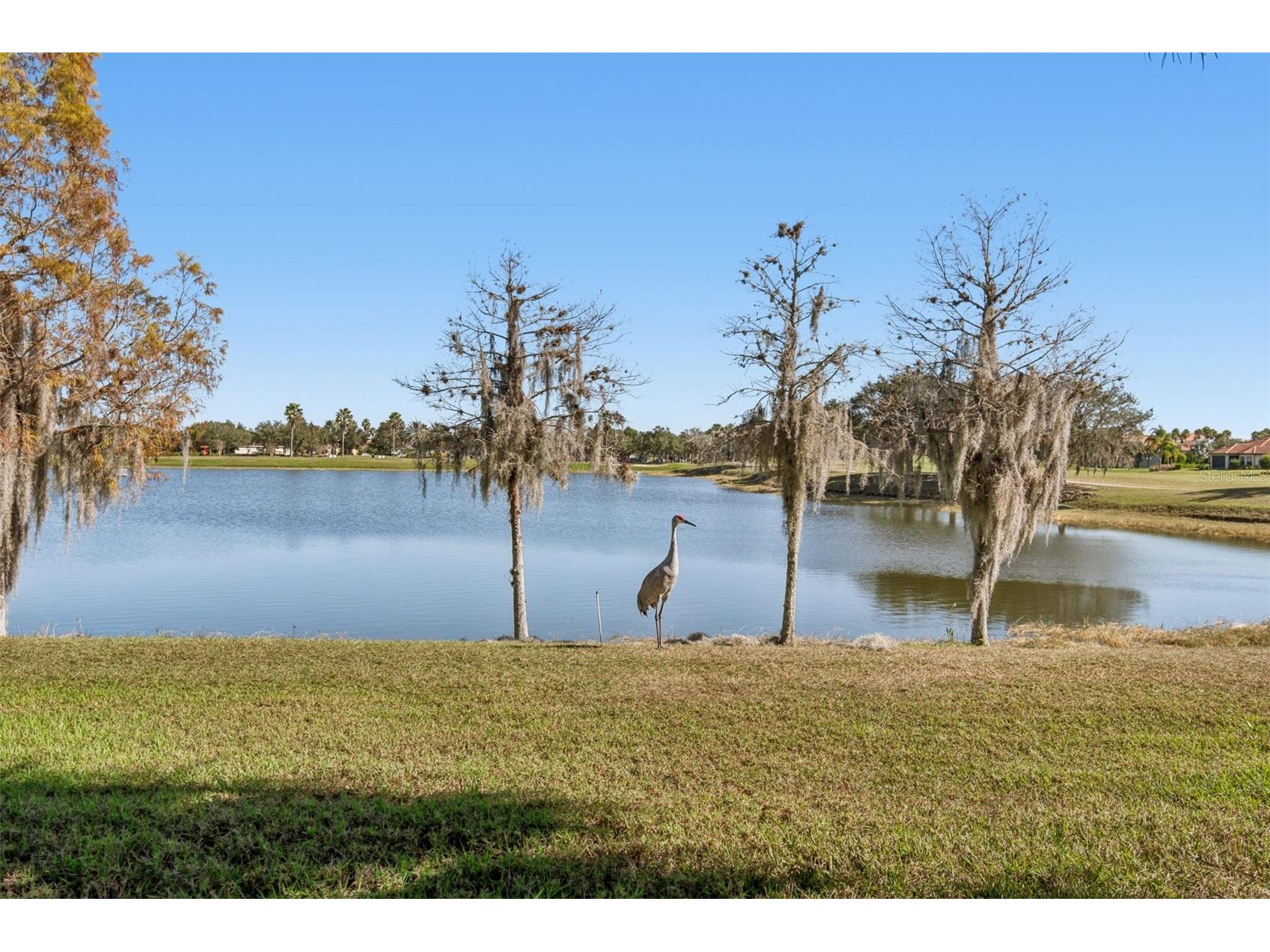 2376 Palm Tree Drive Kissimmee FL 34759 S5140777 image8