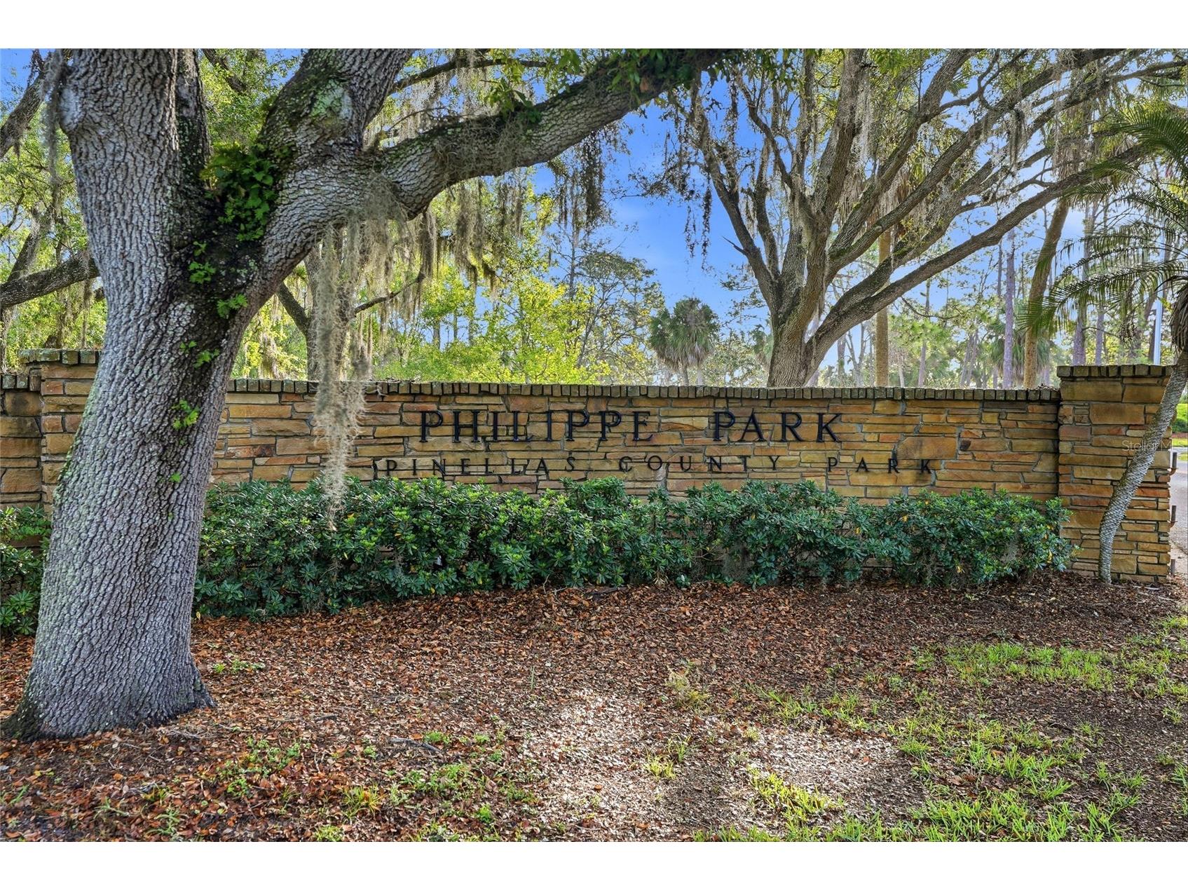 2376 Rajel Avenue Safety Harbor FL 34695 TB8501145 image69