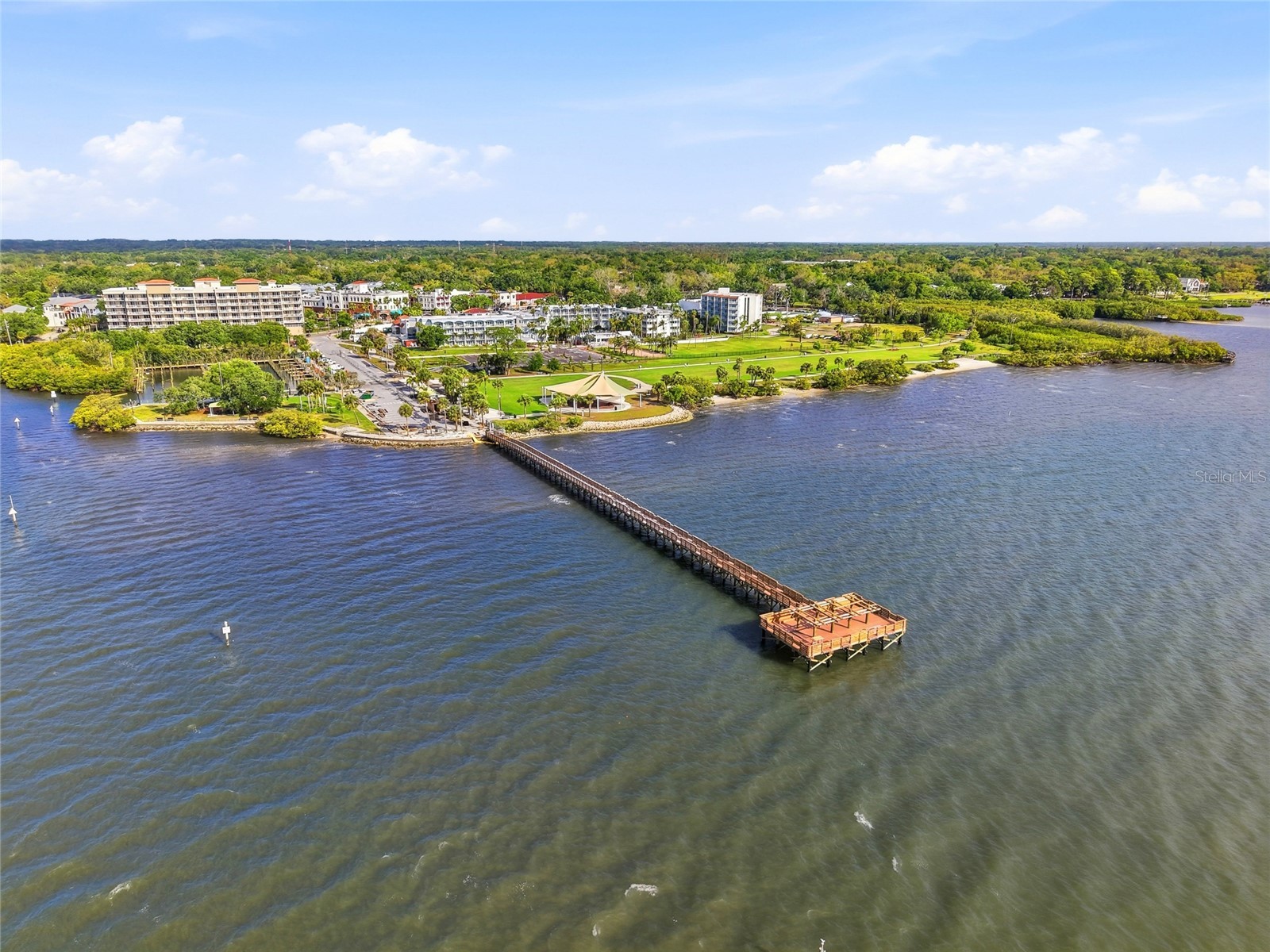 2376 Rajel Avenue Safety Harbor FL 34695 TB8501145 image82