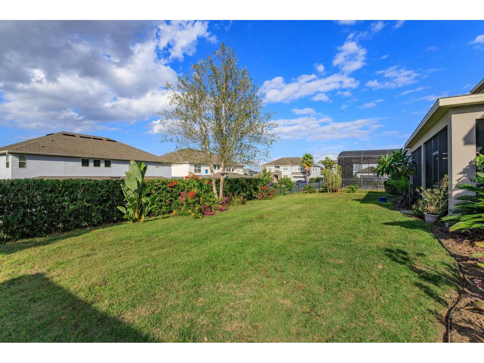 2376 Timberhill Court Clermont FL 34715 O6359186 image23