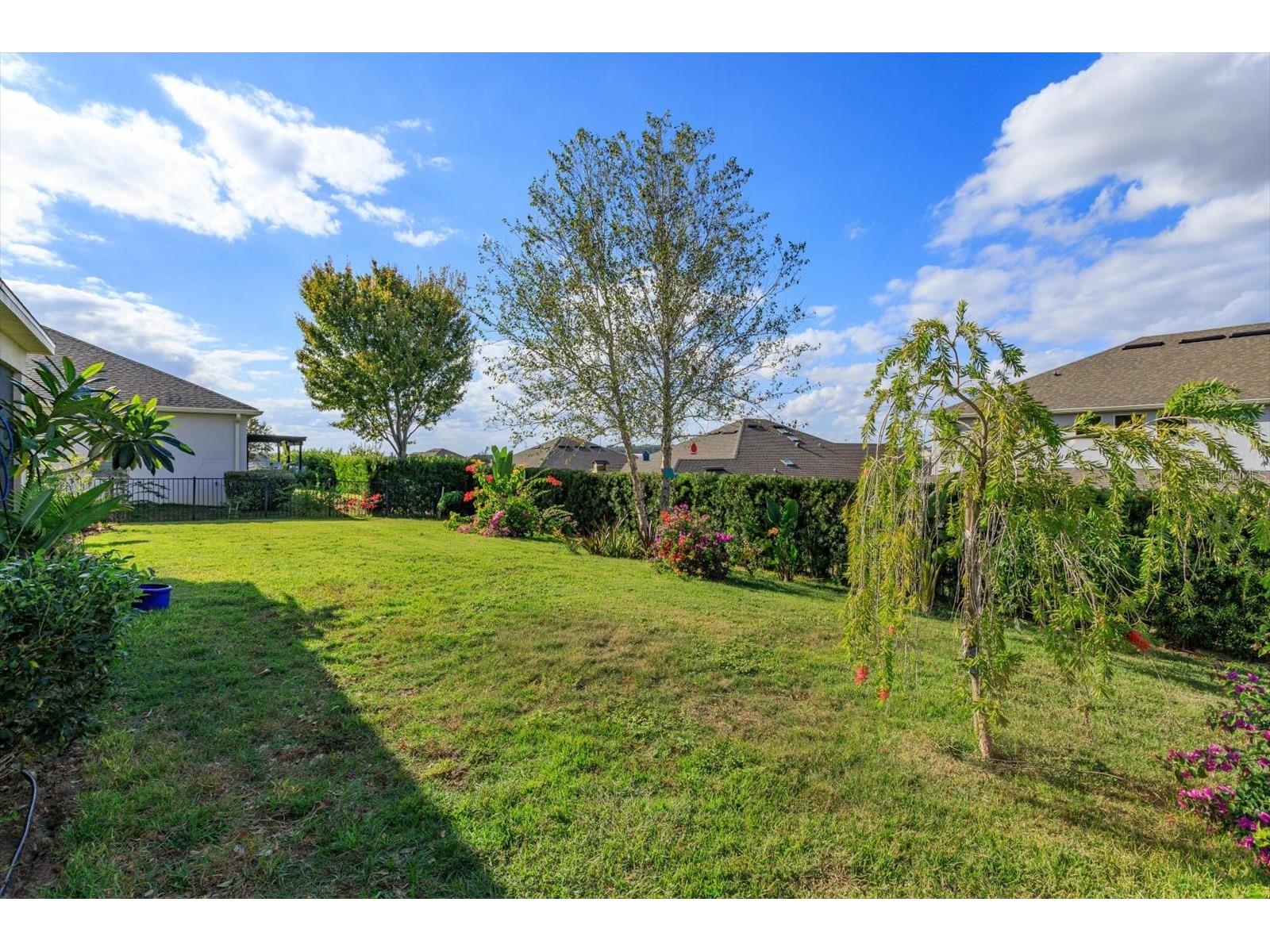 2376 Timberhill Court Clermont FL 34715 O6359186 image25