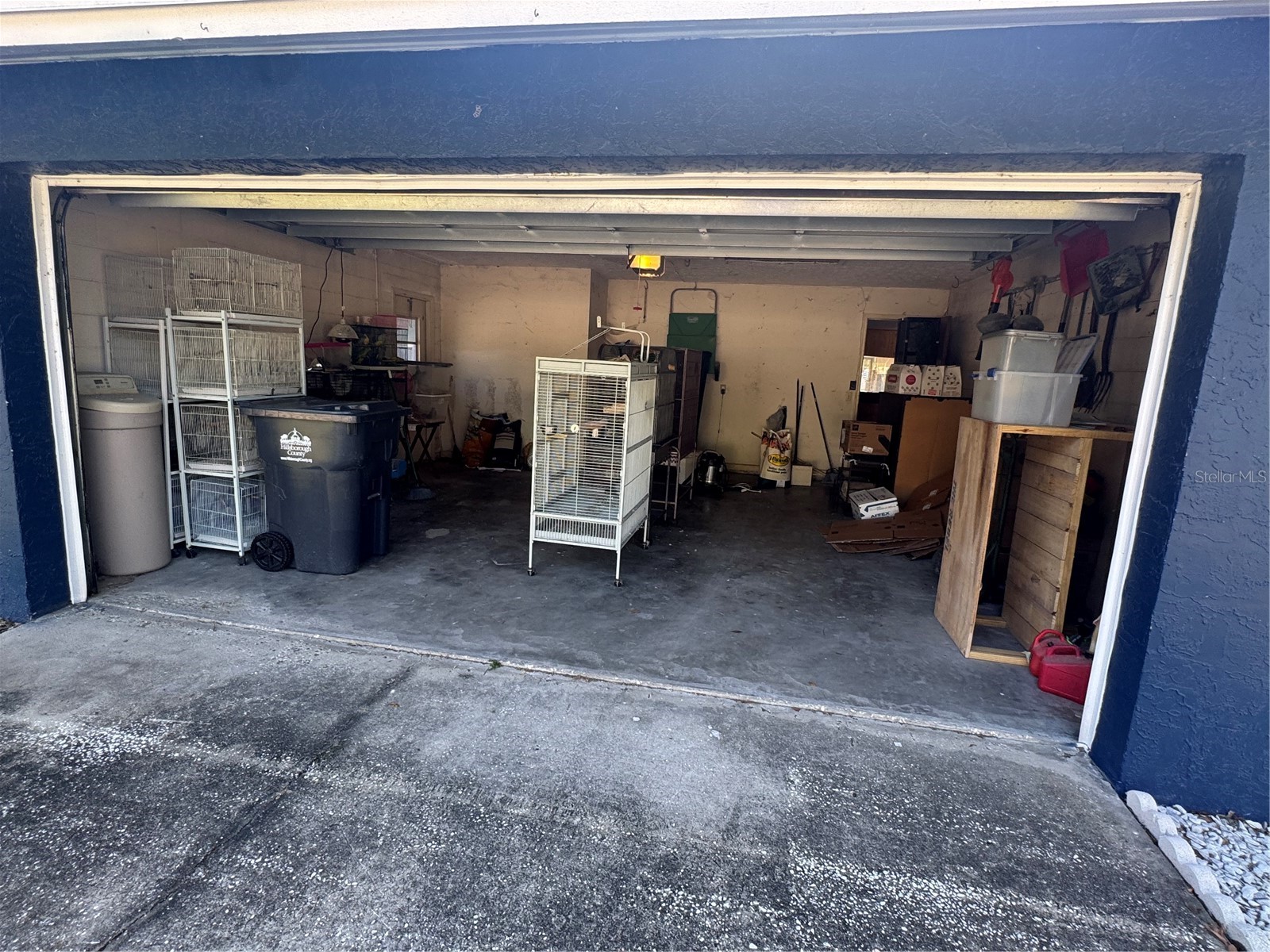 2376 Windsor Oaks Avenue Lutz FL 33549 TB8503293 image27