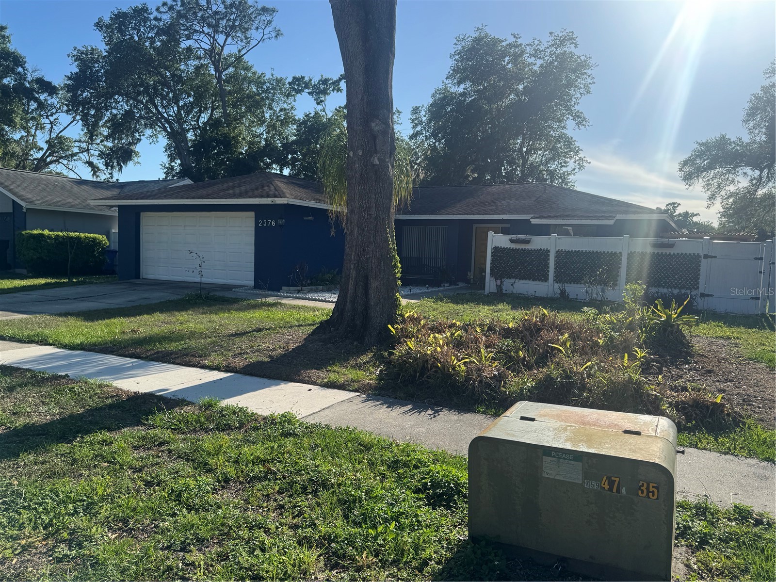 2376 Windsor Oaks Avenue Lutz FL 33549 TB8503293 image3