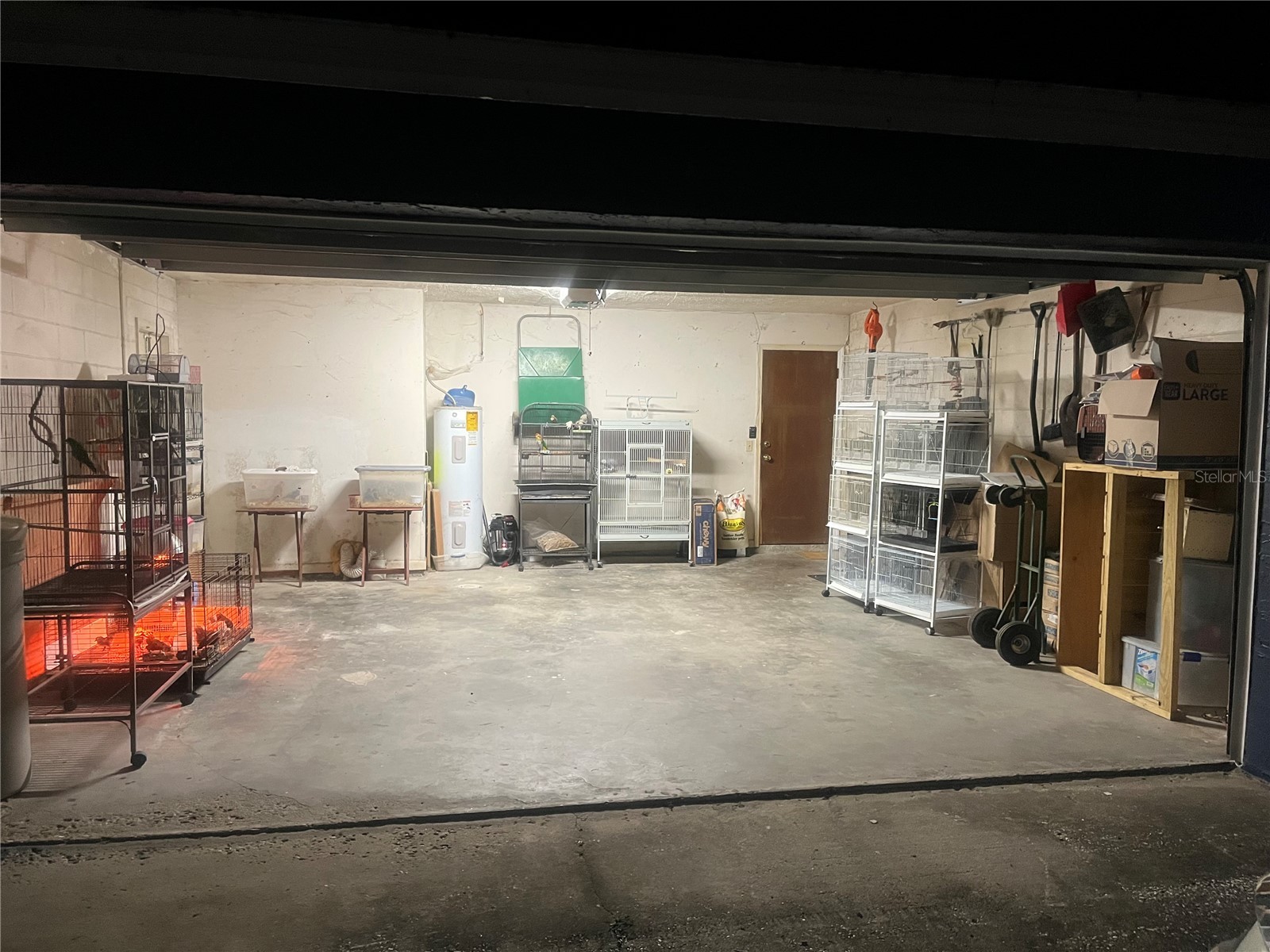 2376 Windsor Oaks Avenue Lutz FL 33549 TB8503293 image31