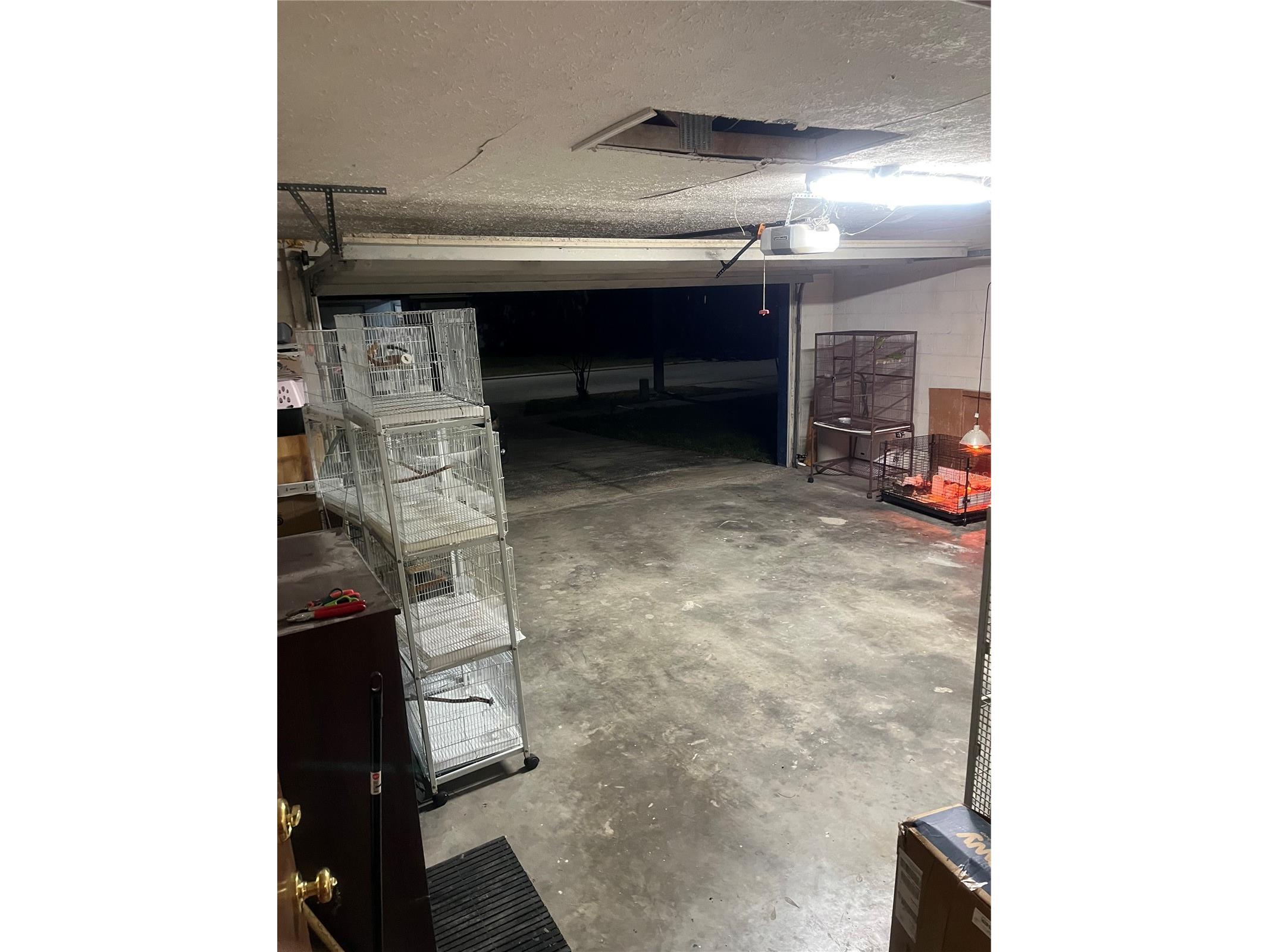 2376 Windsor Oaks Avenue Lutz FL 33549 TB8503293 image32