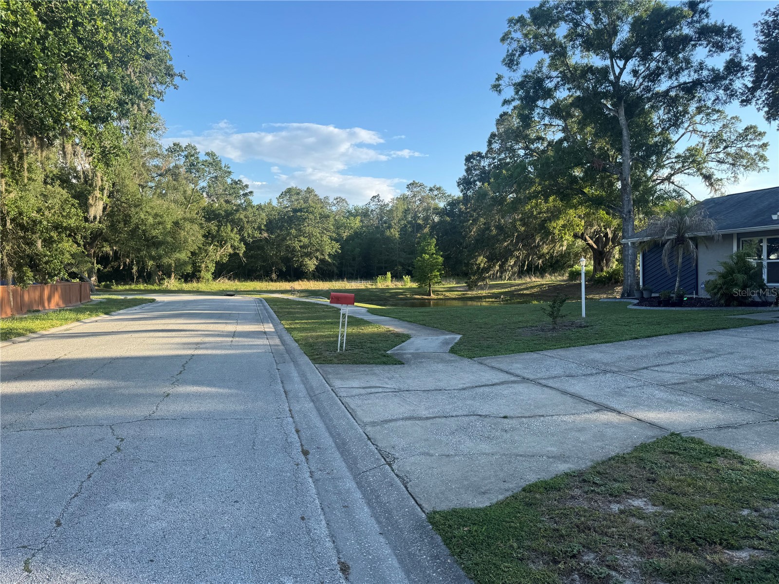 2376 Windsor Oaks Avenue Lutz FL 33549 TB8503293 image36