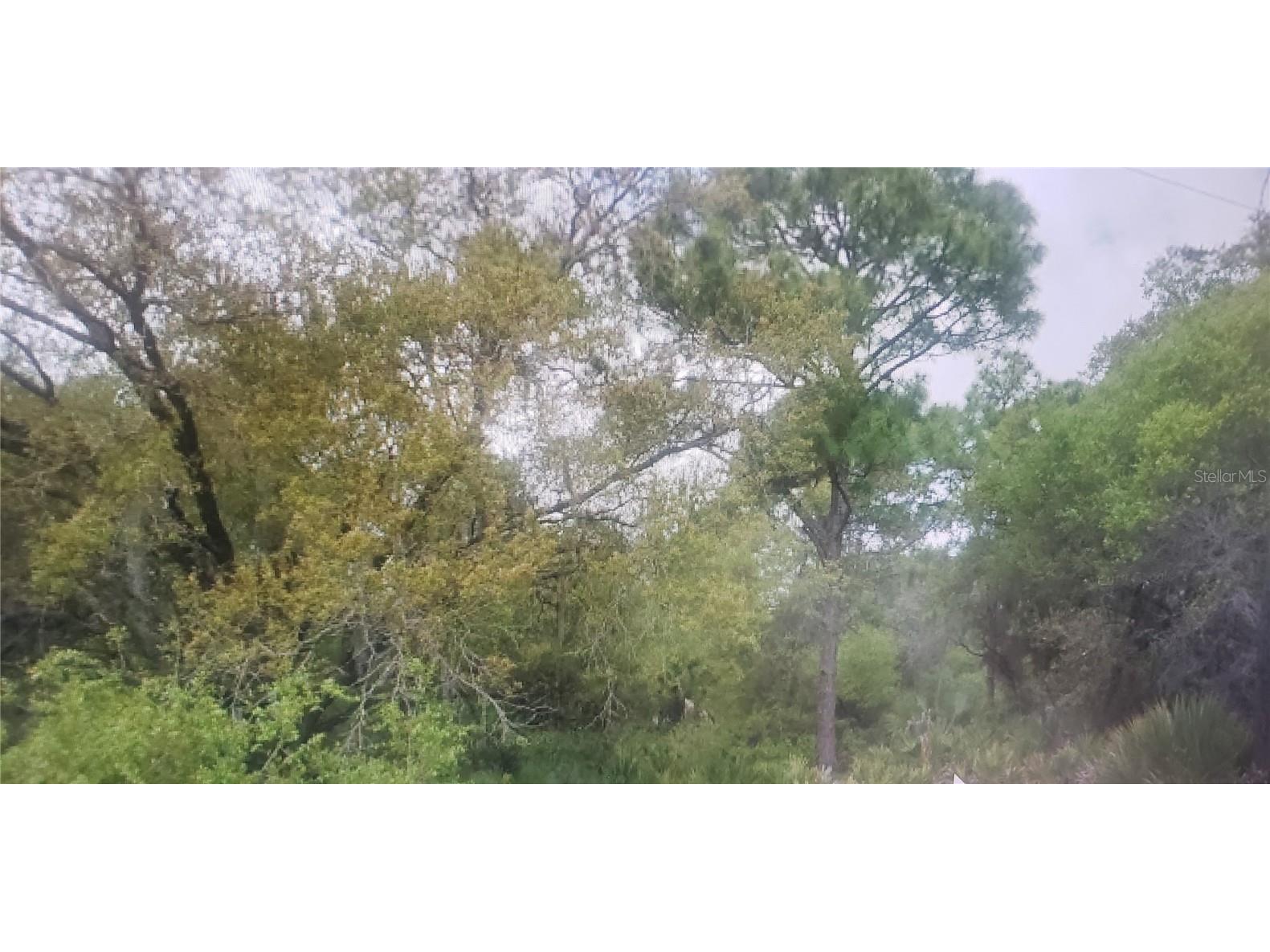 2377 Dodge Street Port Charlotte FL 33948 C7447308 image1