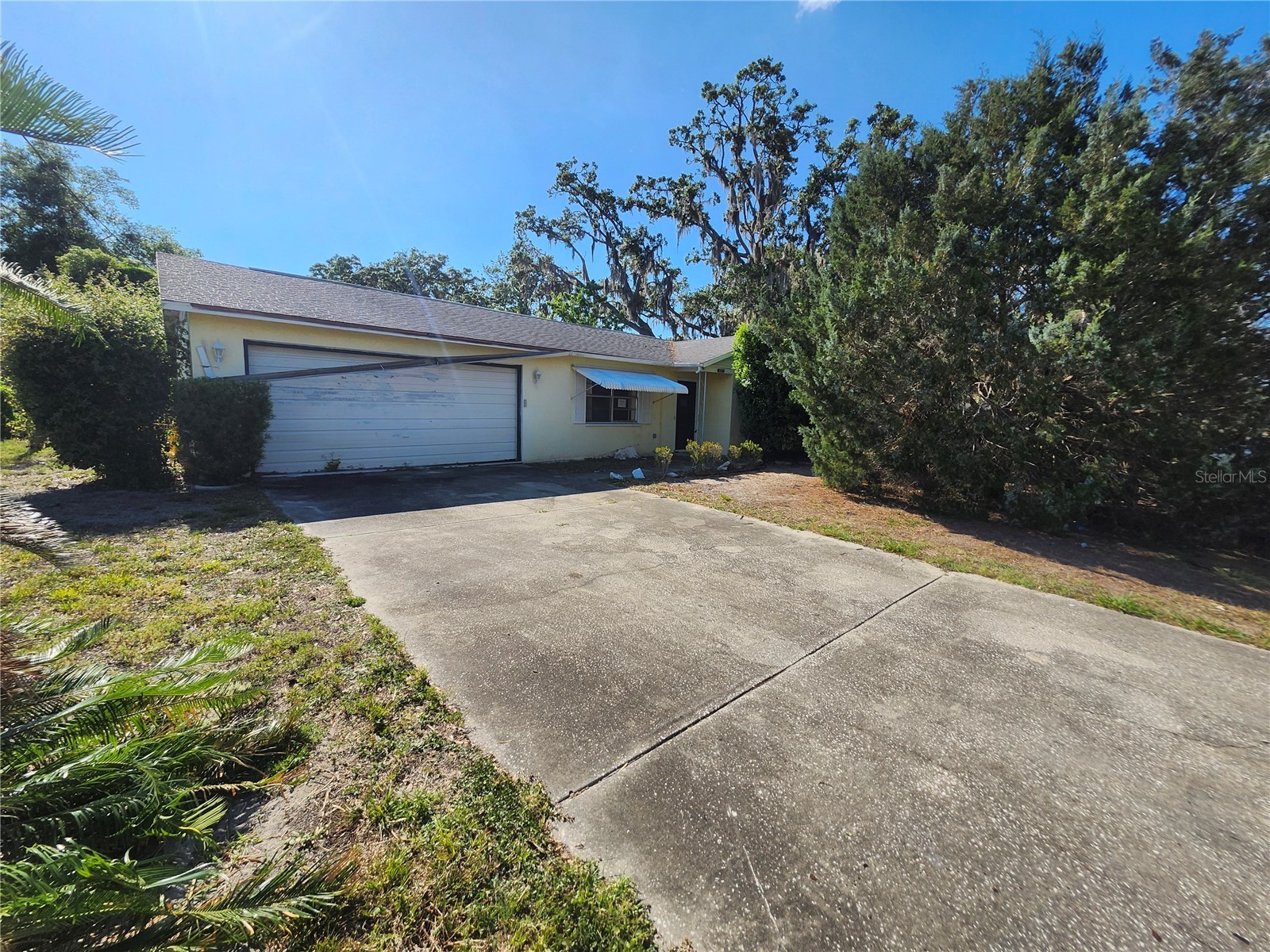 2377 Giovanni Avenue Spring Hill FL 34608 W7885474 image1