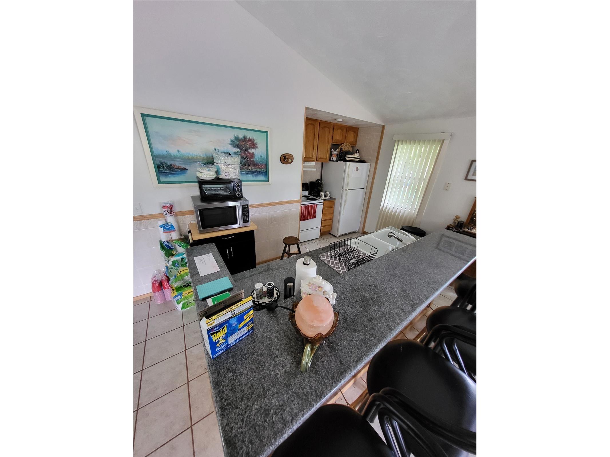 2377 NW 34th Place Lake Panasoffkee FL 33538 - OUTLET RIVER TB8459963 image13