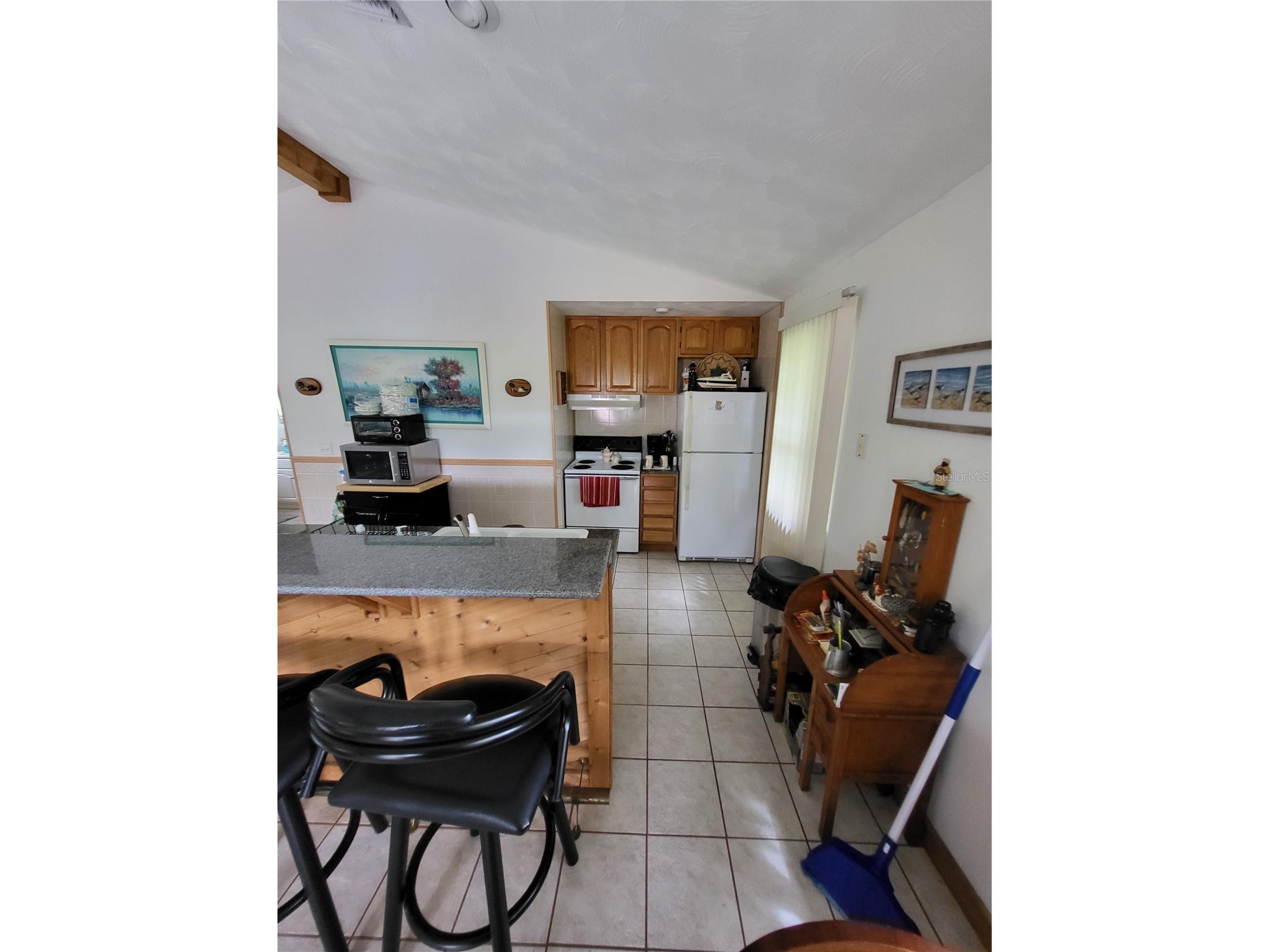 2377 NW 34th Place Lake Panasoffkee FL 33538 - OUTLET RIVER TB8459963 image14