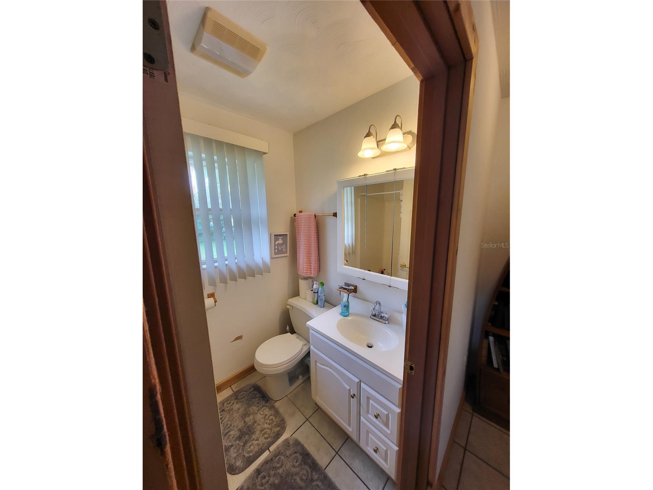 2377 NW 34th Place Lake Panasoffkee FL 33538 - OUTLET RIVER TB8459963 image19