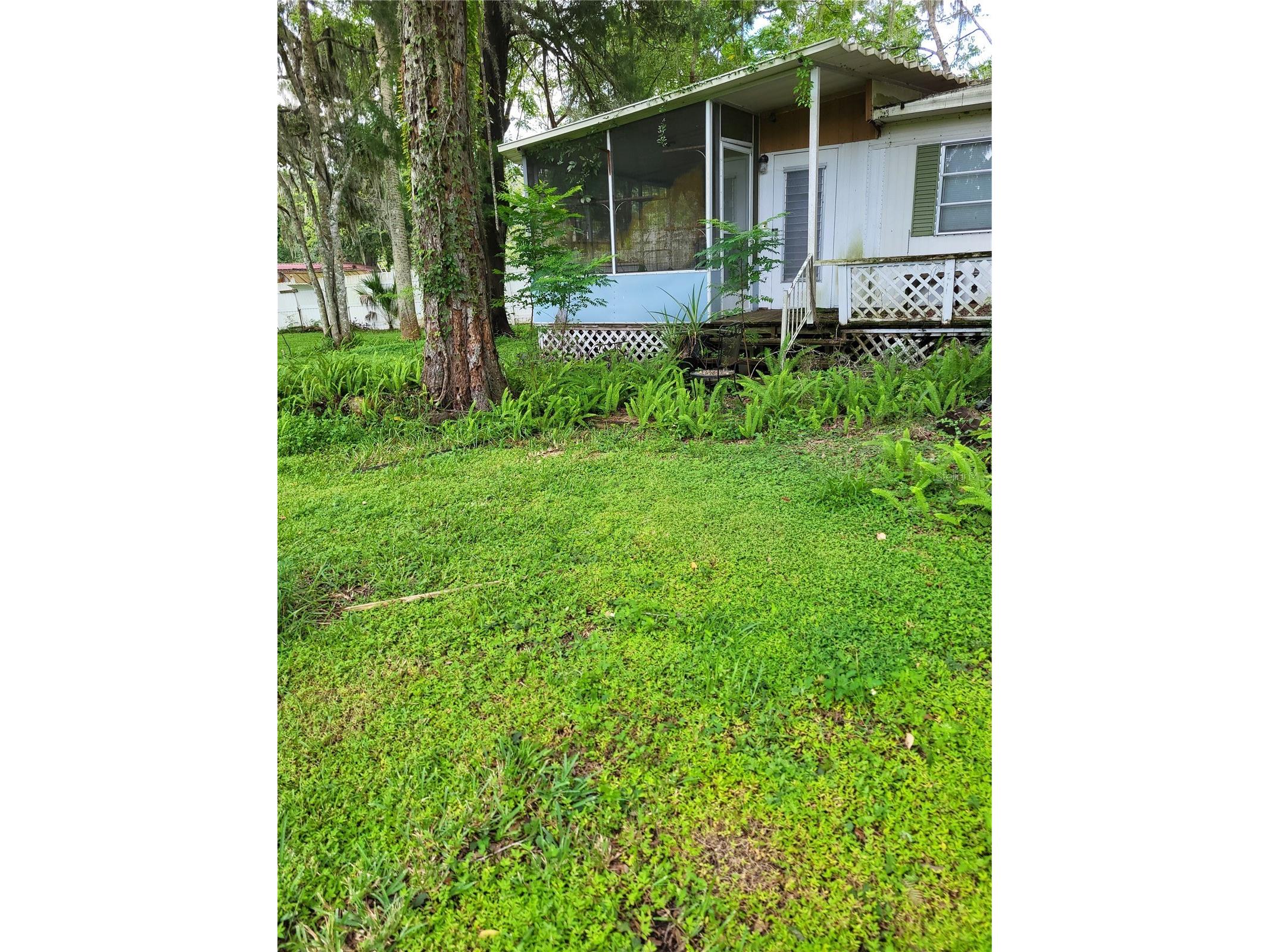 2377 NW 34th Place Lake Panasoffkee FL 33538 - OUTLET RIVER TB8459963 image44