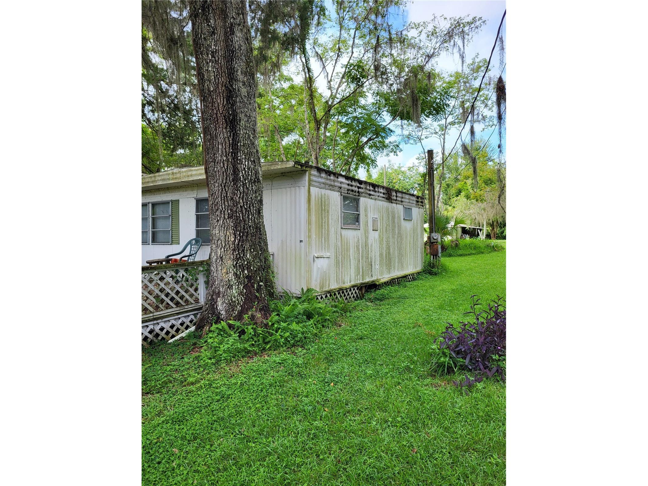 2377 NW 34th Place Lake Panasoffkee FL 33538 - OUTLET RIVER TB8459963 image47