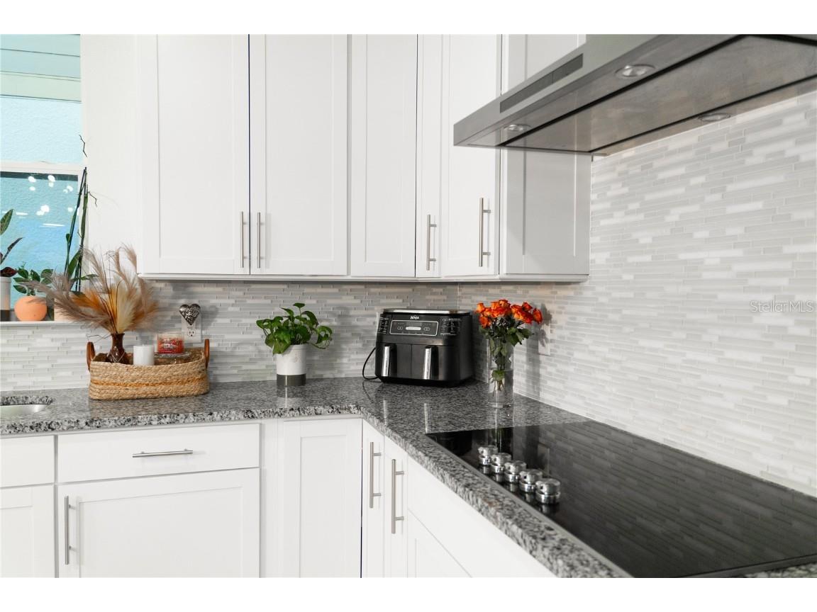 2377 Palm Park Loop Clermont FL 34714 S5137592 image11