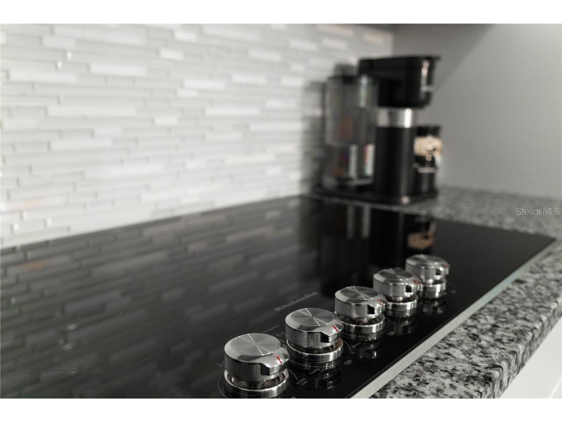 2377 Palm Park Loop Clermont FL 34714 S5137592 image12