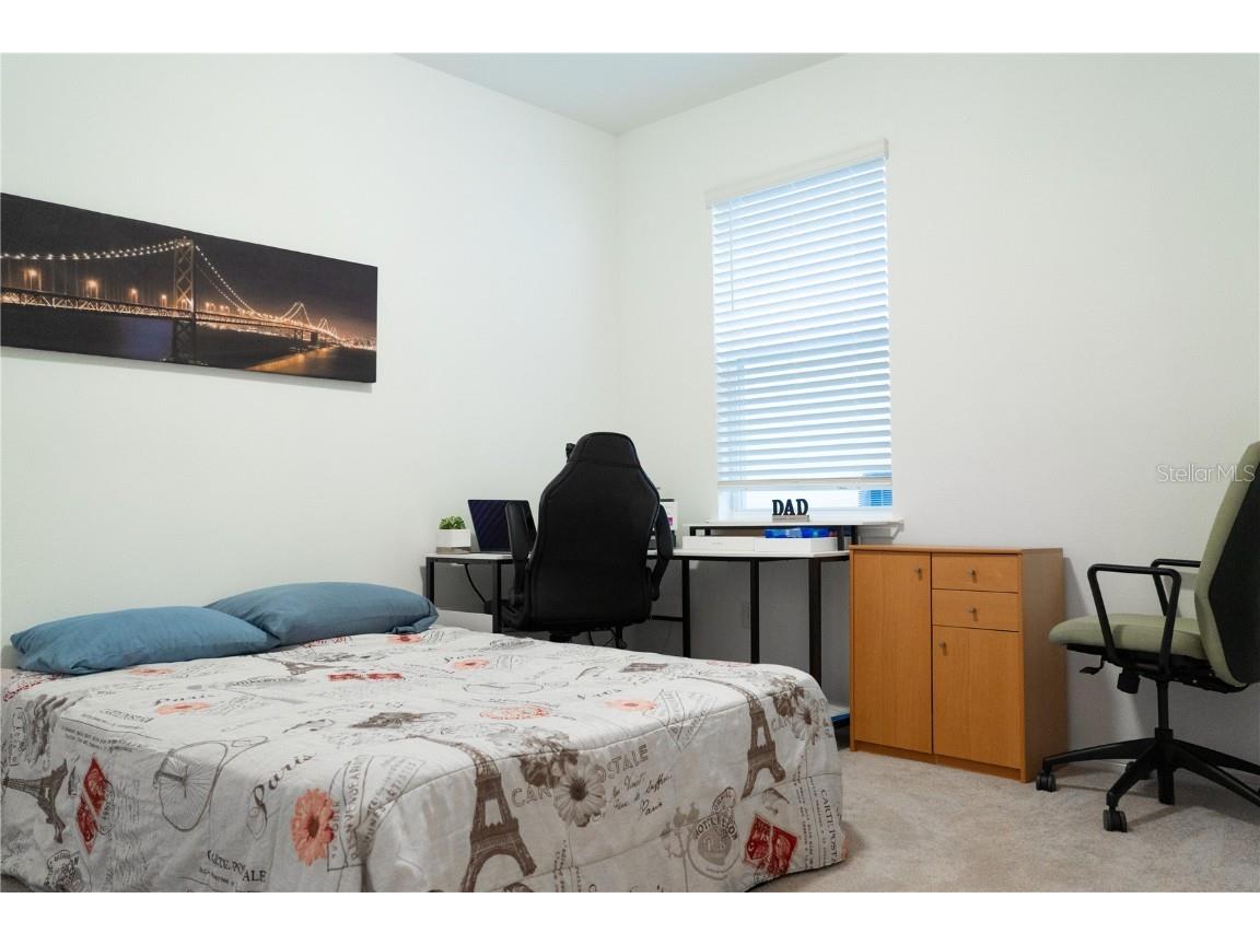 2377 Palm Park Loop Clermont FL 34714 S5137592 image14